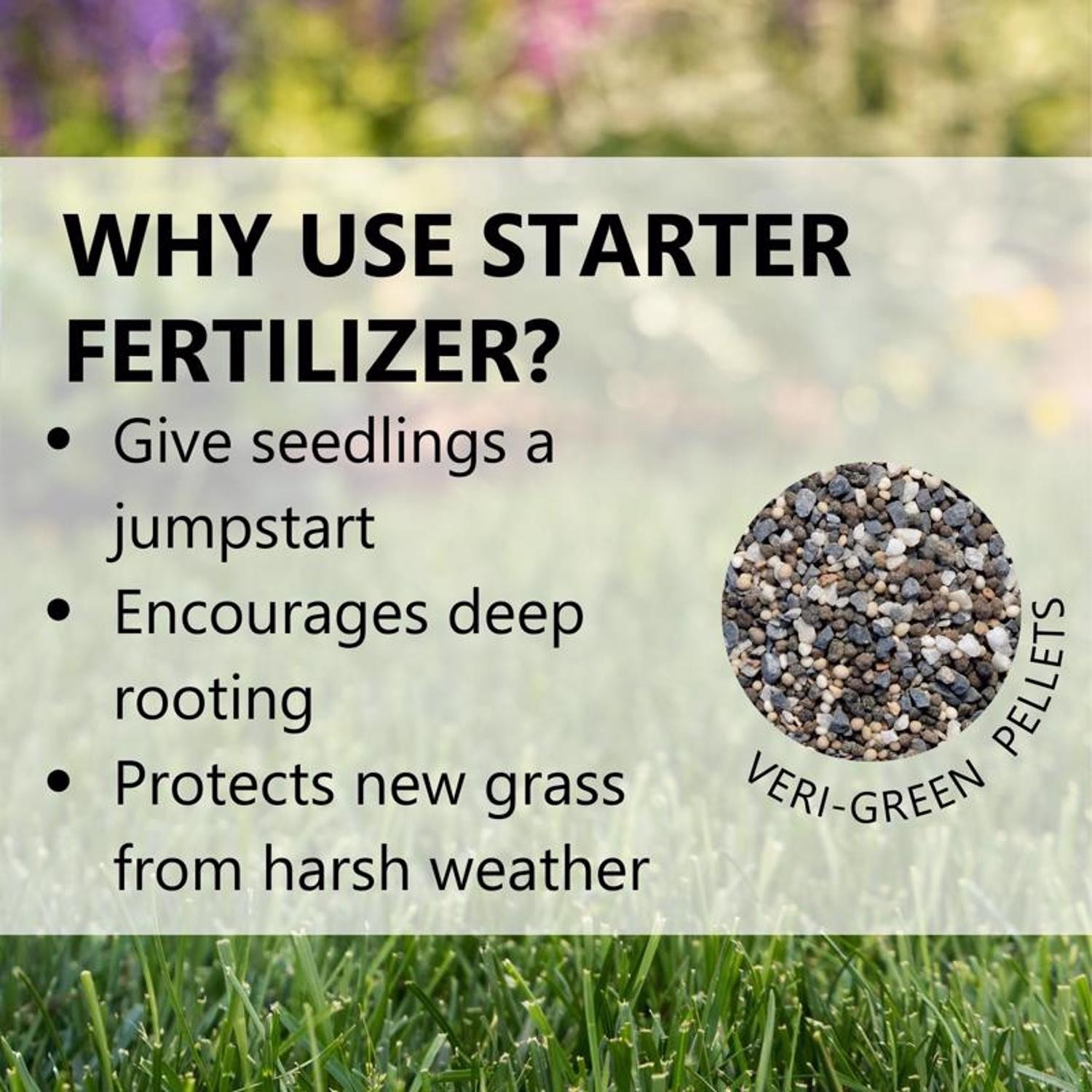 Jonathan Green Veri-Green Lawn Starter Lawn Food For All Grasses 5000 sq ft