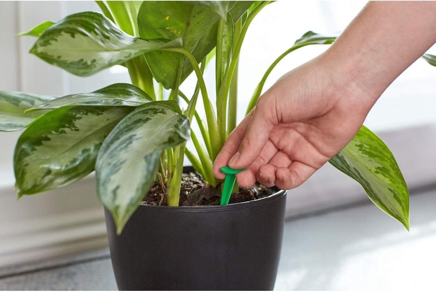 24 Easy-Use Fertilizer Spikes for Flowering & Foliage Houseplants – NPK 6-12-6