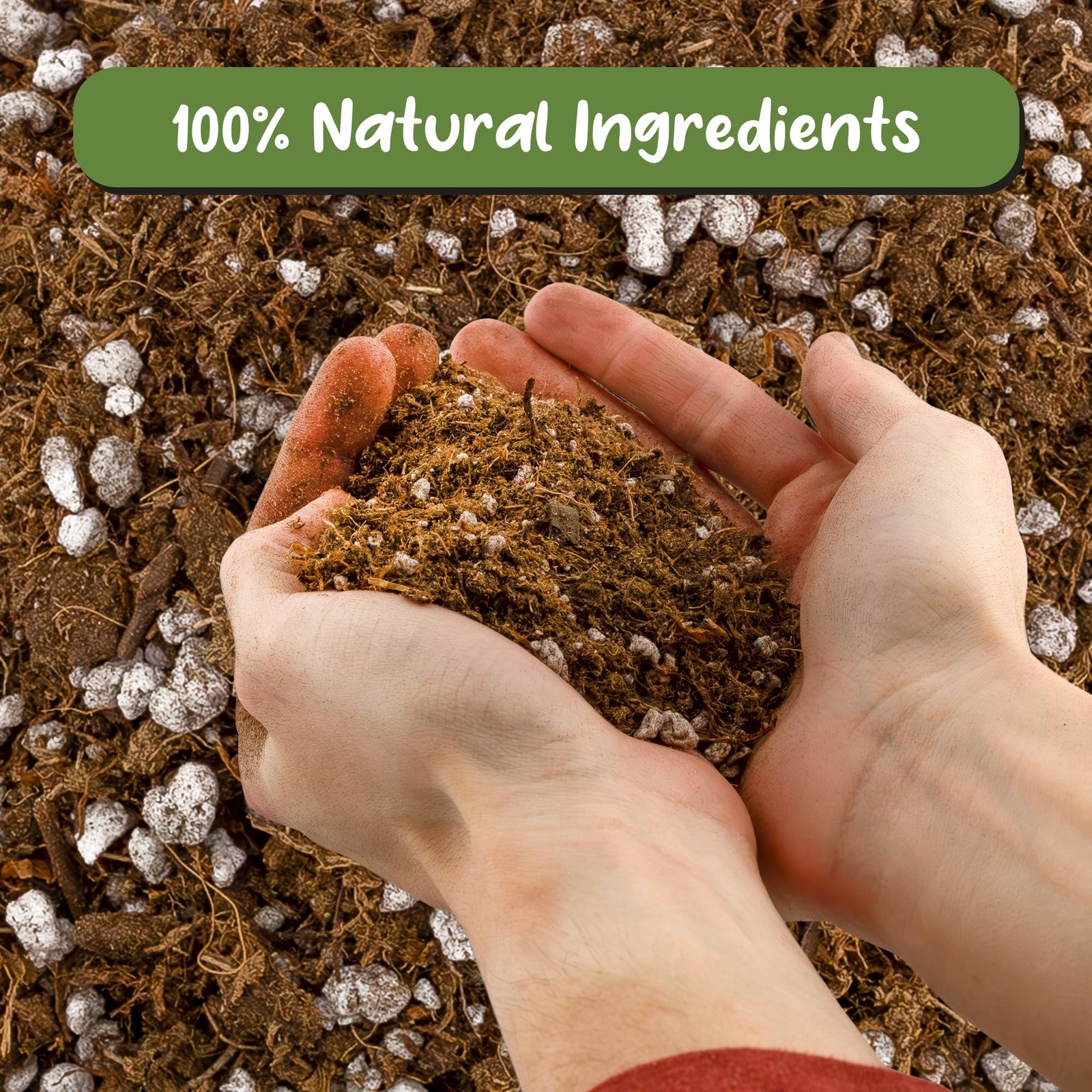 Soil Sunrise Carnivorous Plant Potting Mix (2 Quarts) 2 Quarts, Brown