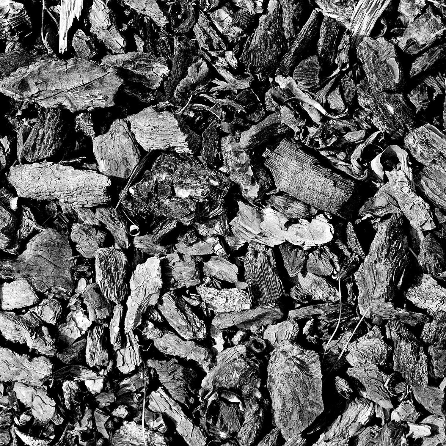 Char Bliss (24 Qts) – Organic Biochar for Plants – Omri-Listed Biochar Soil Amen