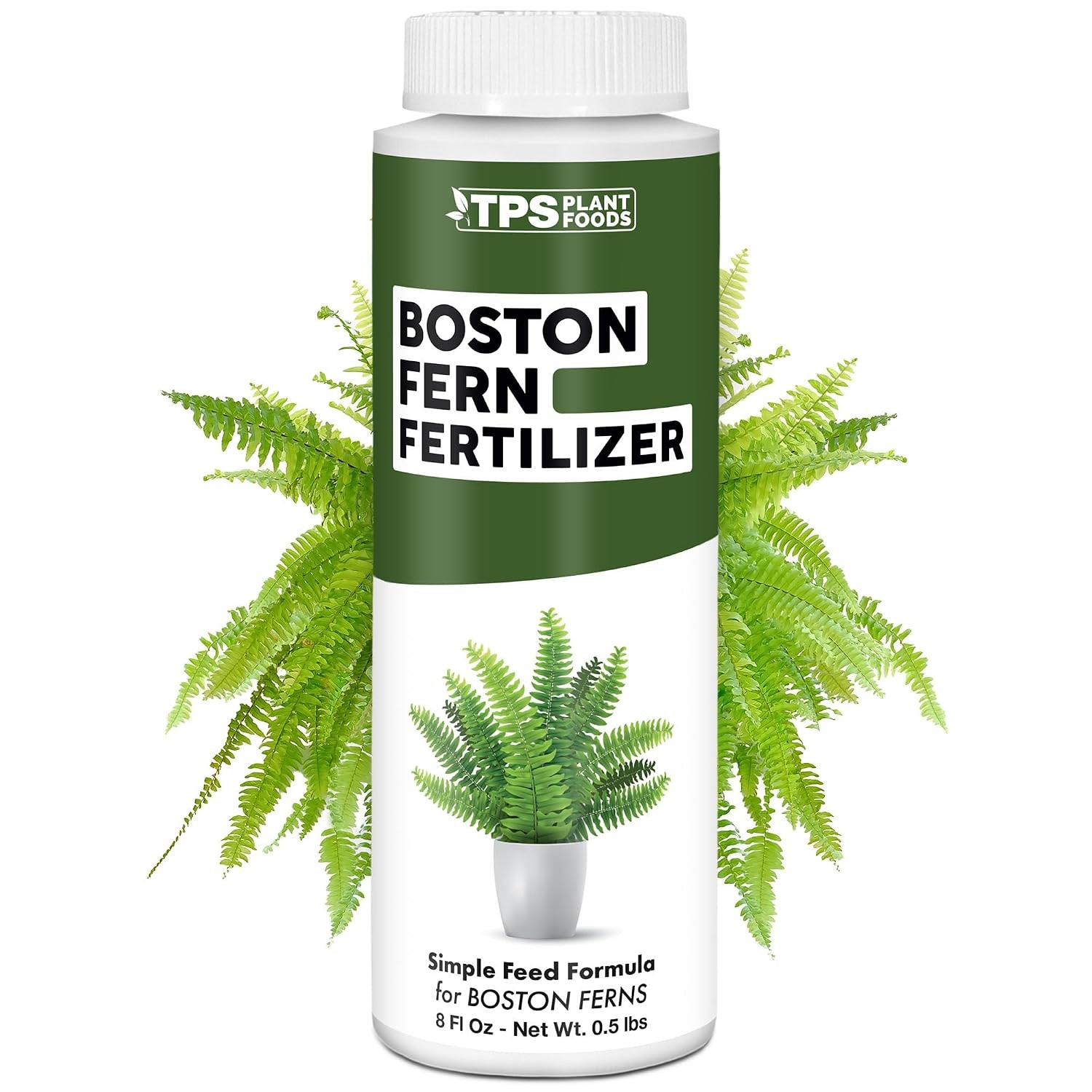 Boston Fern Fertilizer – Liquid Plant Food Fuller Fronds Rich Green Color &