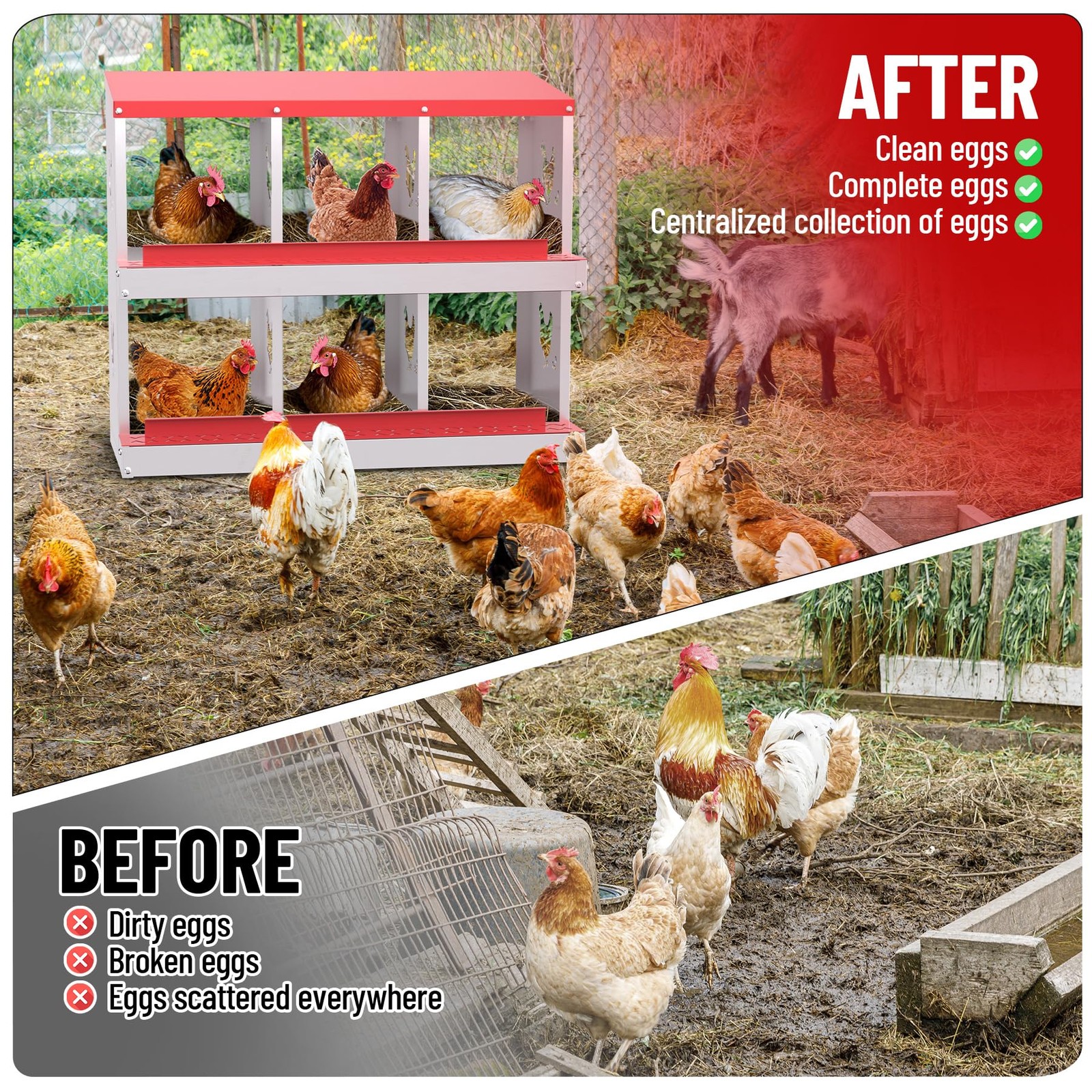 6 Compartment Metal Chicken Nesting Box Roll Out Egg Collection