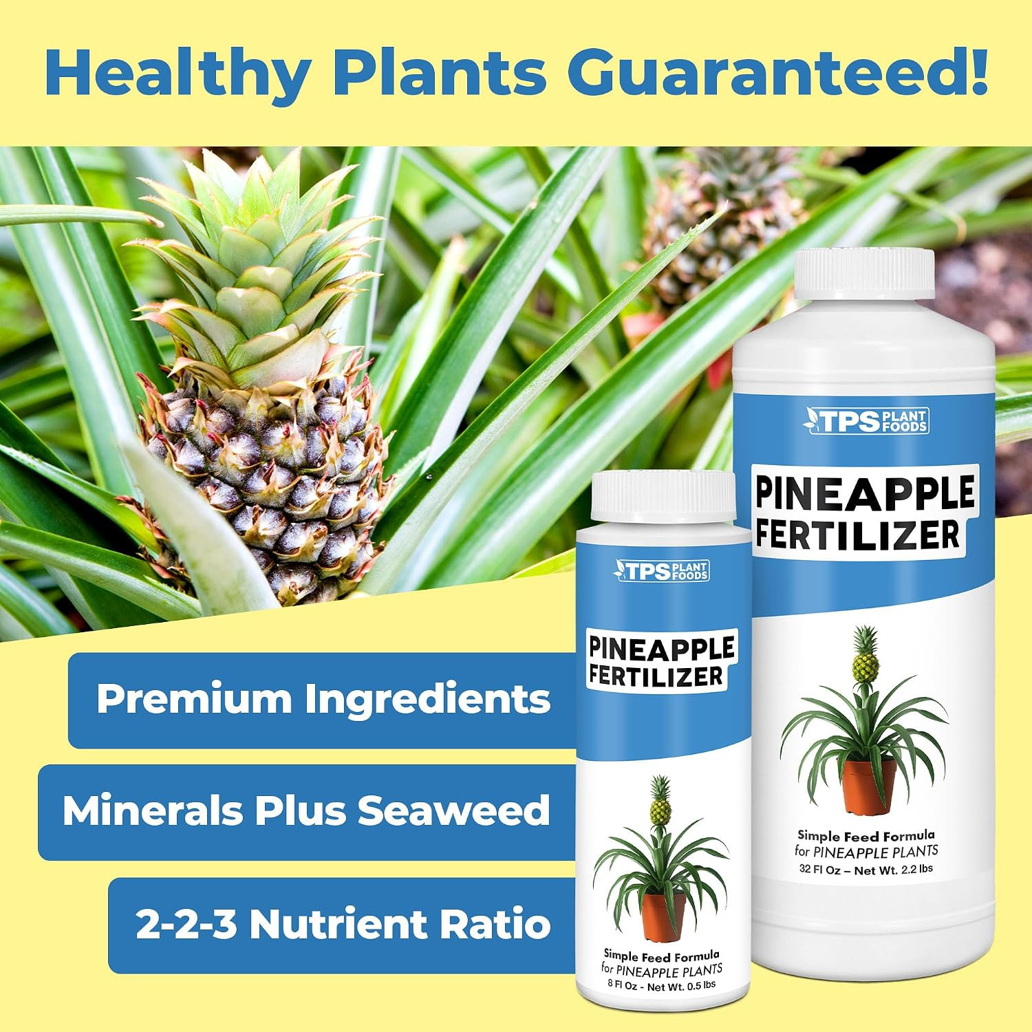 Pineapple Fertilizer – Liquid Plant Food for Bigger Fruit, Stronger Root Develop