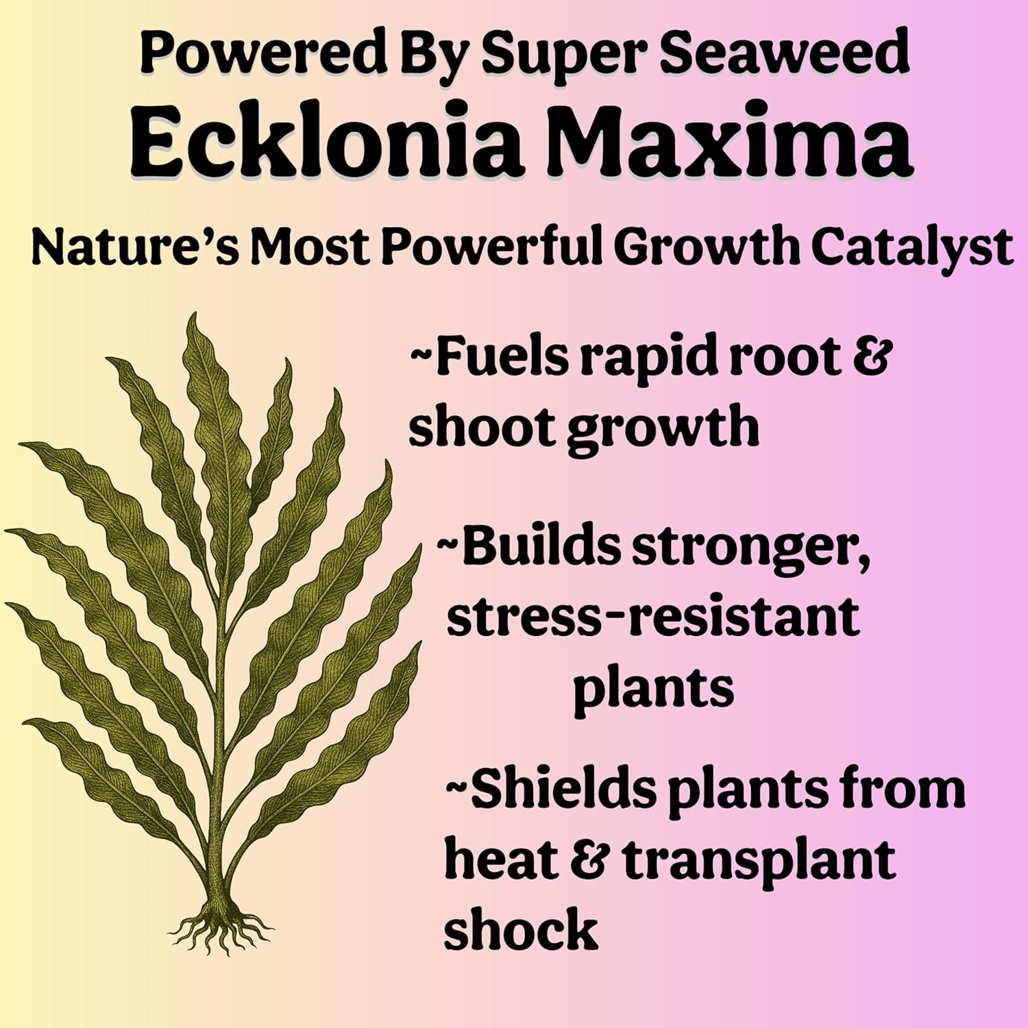 Organic Liquid Indoor Plant Food, Houseplant, Tropical & All-Purpose Indoor Plan