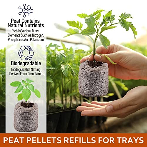 50Pcs 50mm Peat Pellets Starter Pods Fiber Soil Plant Starting Plugs Peat Pellet