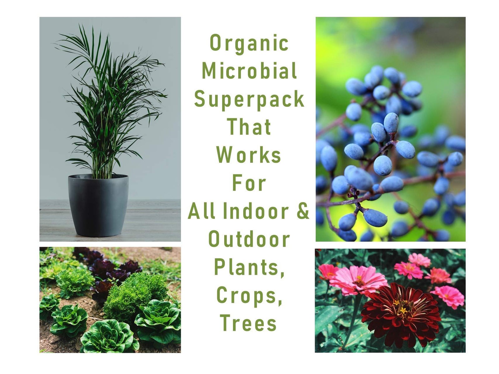 Microbial Superpack for Living Soil – Revitalize Plants (1 lb.)