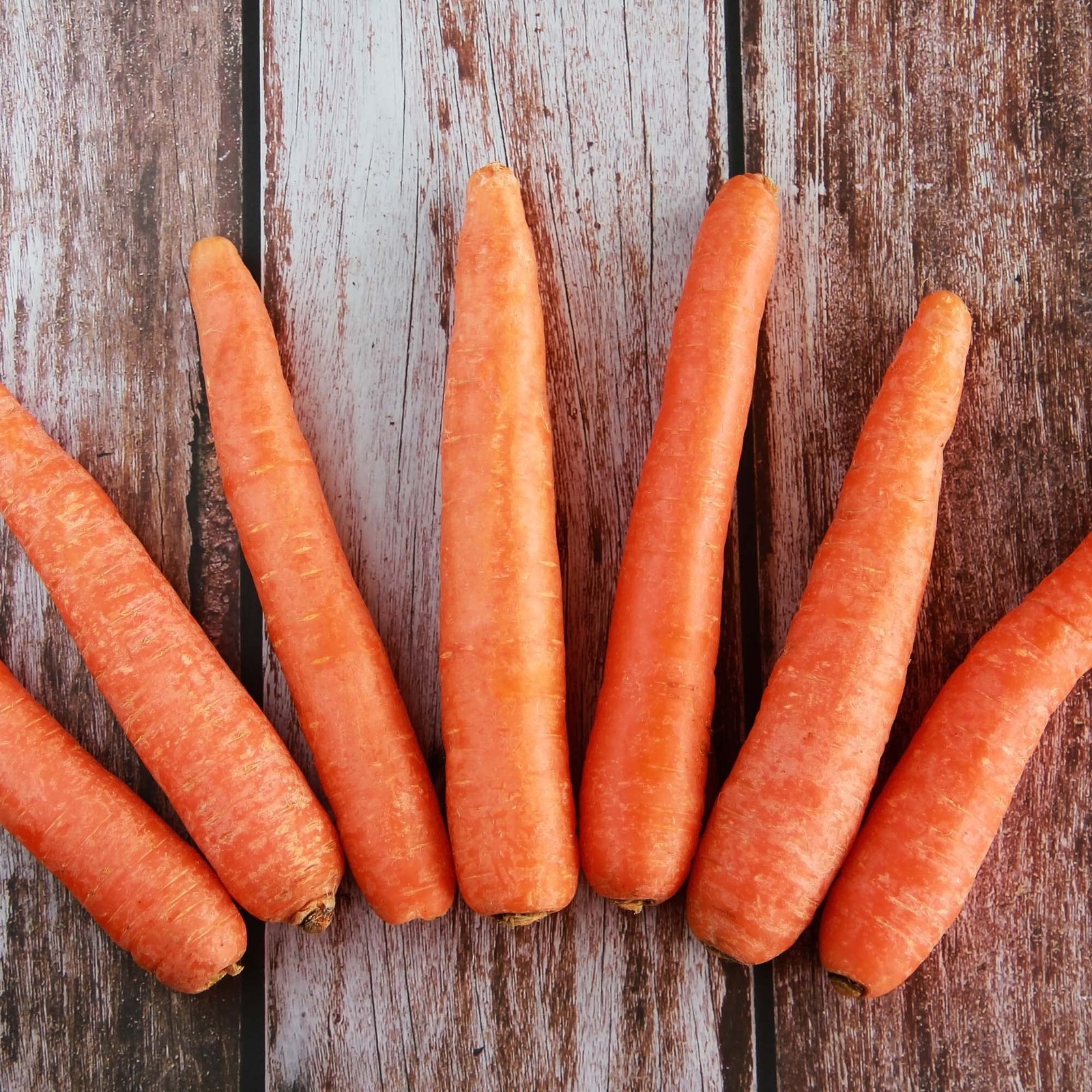 Big A Carrot Fertilizer and Root Vegetable Fertilizers – Premium Fertilizer f…