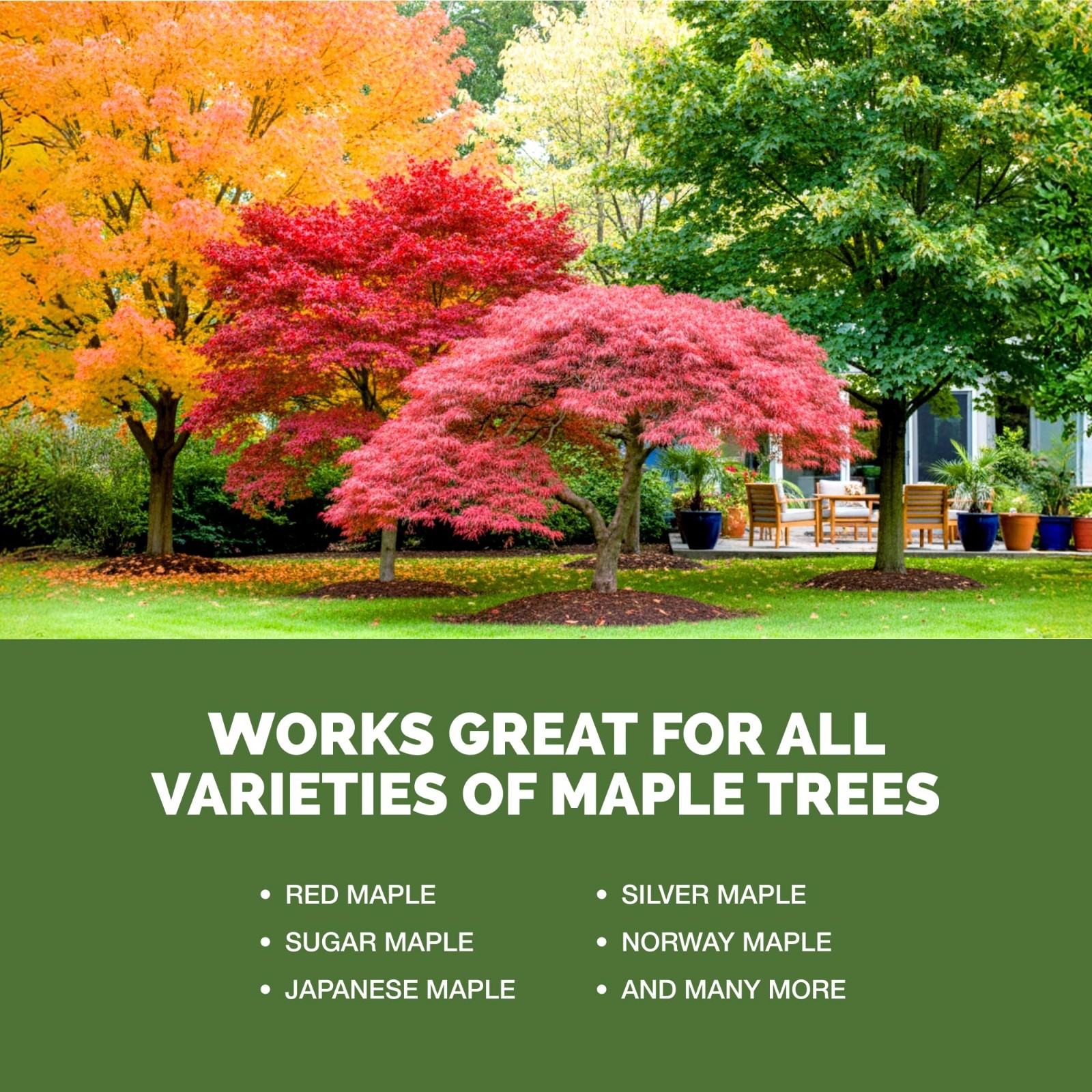Liquid Maple Tree Fertilizer – Plant Food for Vibrant Color & Strong Roots, 32 o