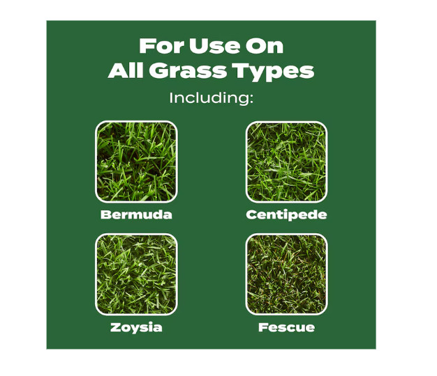 Scotts Turf Builder Lawn Food 12.5-lb 5000-sq ft 32-0-4 All Purpose Lawn Starter