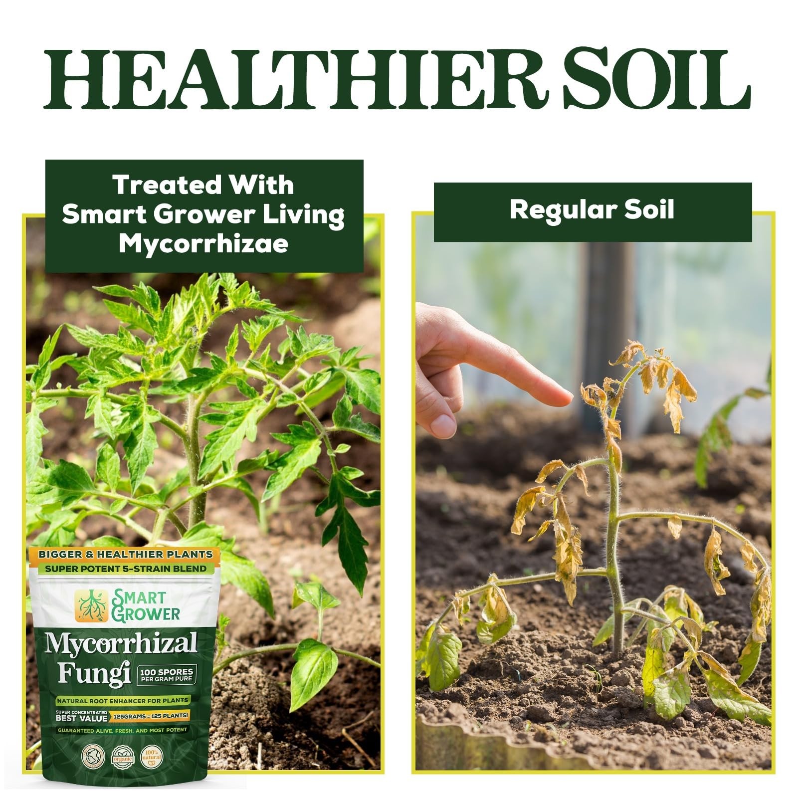 Mycorrhizal Fungi Organic Root Enhancer for Plants, Super Potent 100 Spores P…