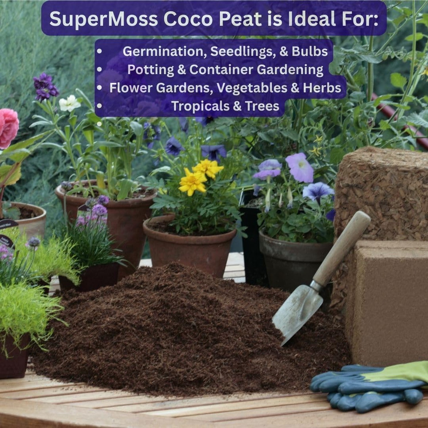 SuperMoss (23274) Coco Peat Soil, Small Bale (2.33 ft3) Natural Brown