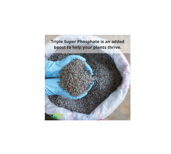 TRIPLE SUPER PHOSPHATE FERTILIZER 0-46-0 | Phosphorus Fertilizer for Gardens, La