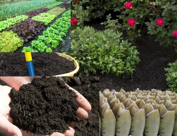 Organic Chicken Poop Compost For Trees
