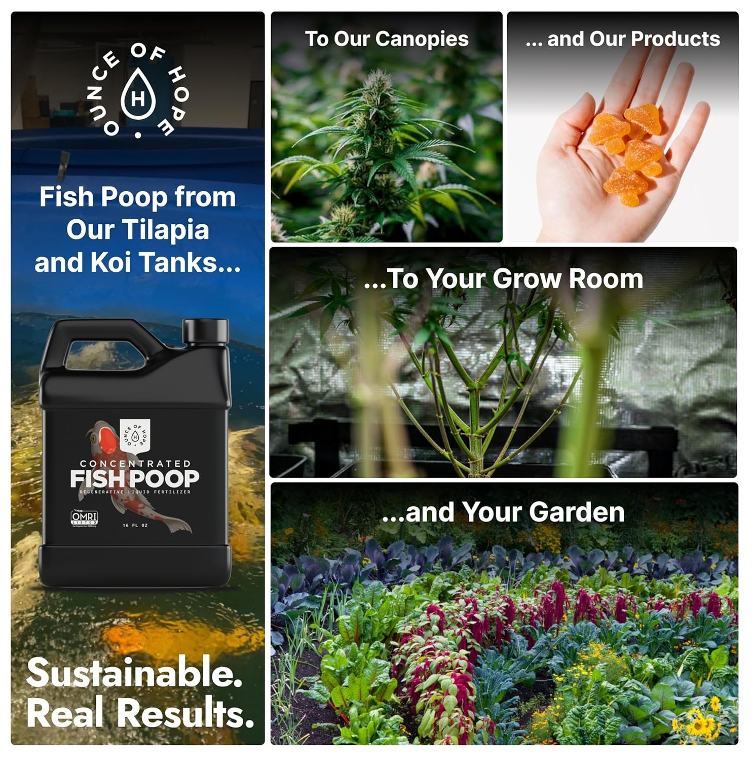 OMRI Listed Organic Concentrated Fish Poop – Liquid Fertilizer for Vegetable Gar