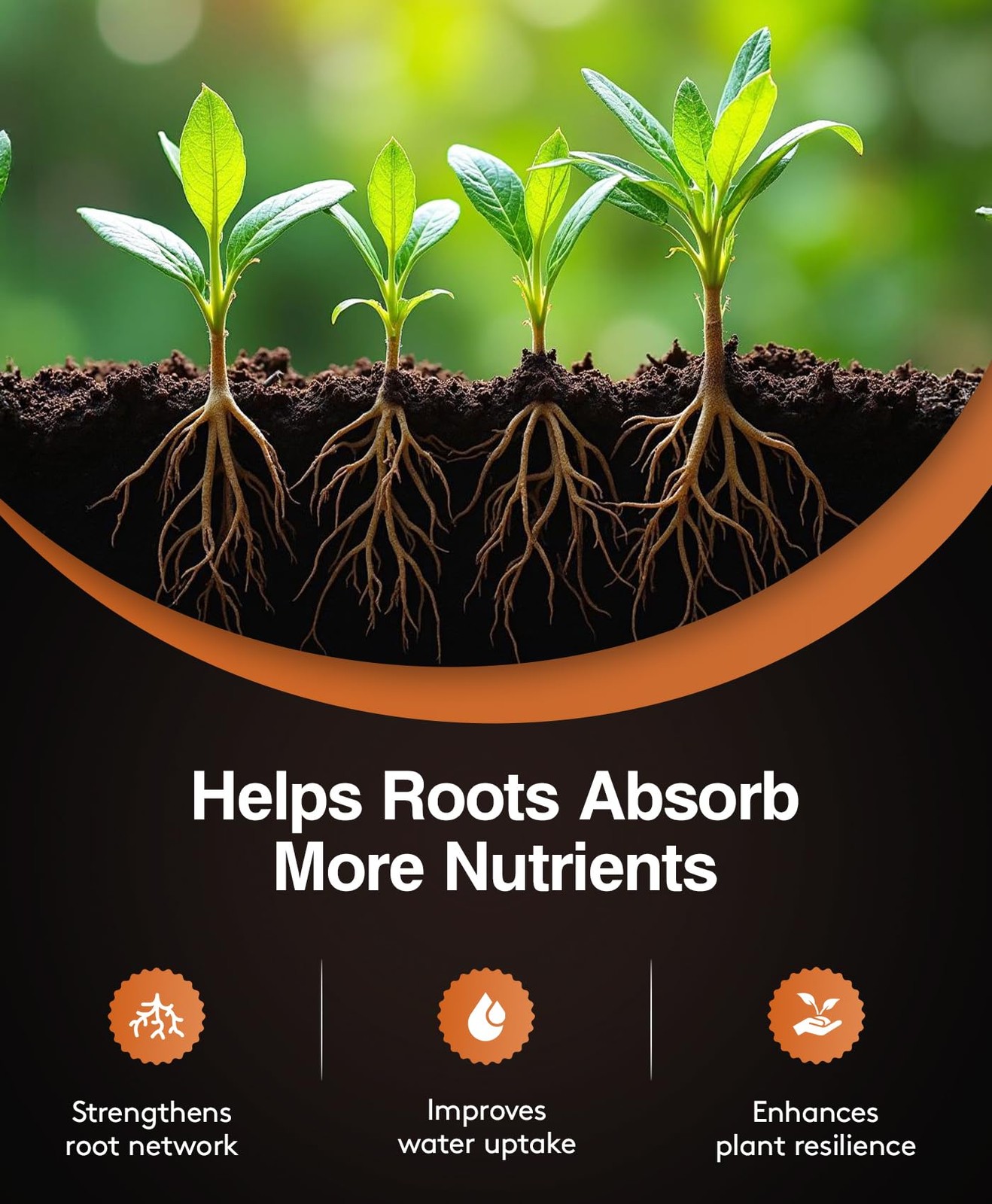 Mycorrhizal Fungi Granular Root Inoculant Organic Biofertilizer Plant Growth Nut