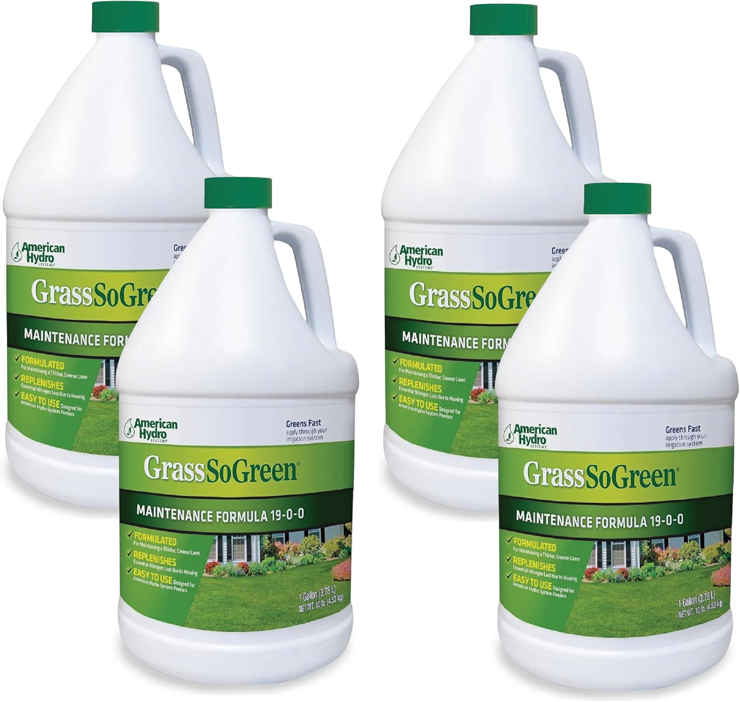 American Hydro Systems Grasssogreen Maintenance Formula, Grass and Landscape Fer