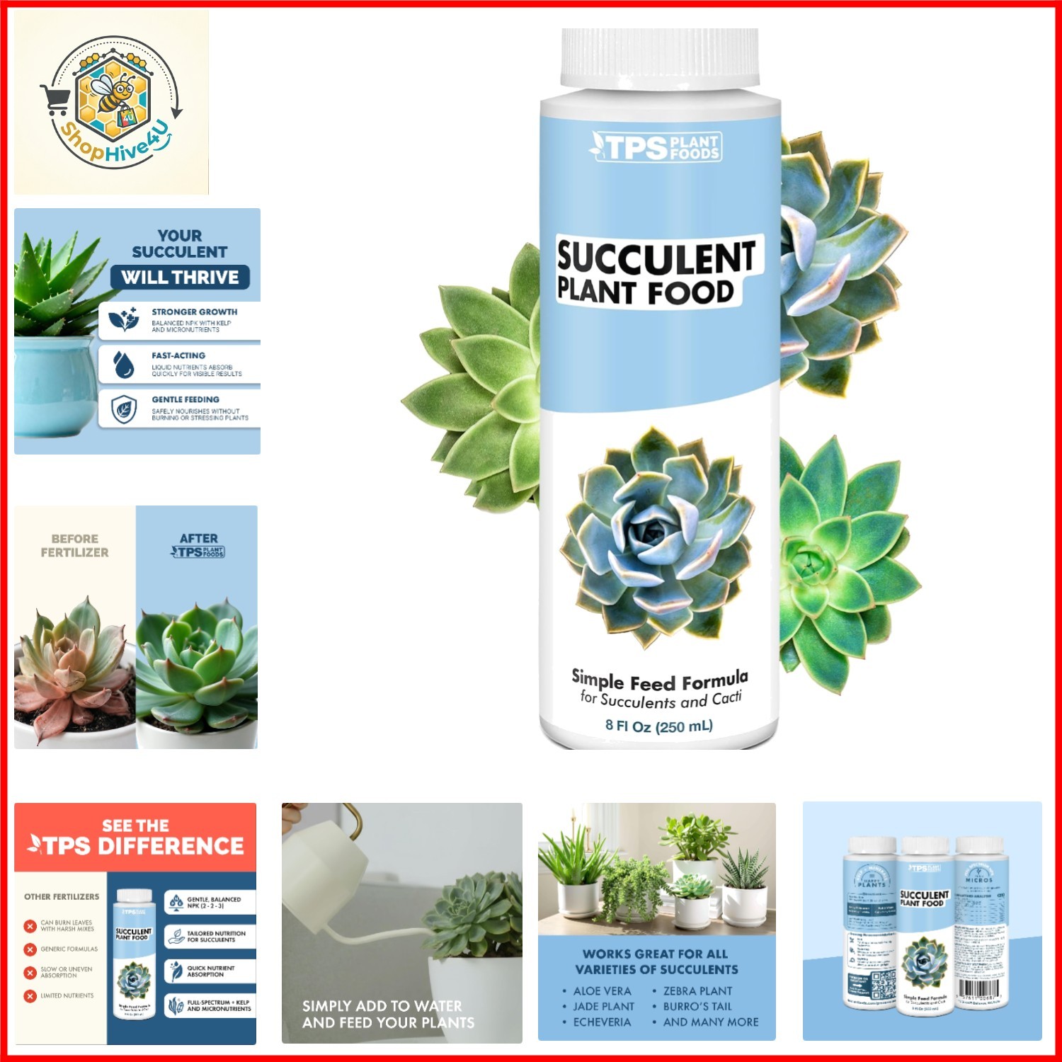 Succulent Fertilizer – Liquid Plant Food for Compact Growth, Vibrant Color & …