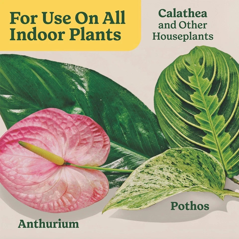 Miracle-Gro Indoor Plant Food Spikes for All Plants, Fertilizer Spikes for Ho…