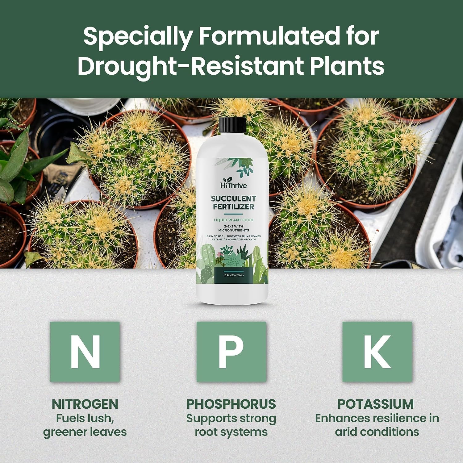 Succulent Fertilizer for Vibrant Leaves, Strong Roots & Plump Growth, 16oz | …