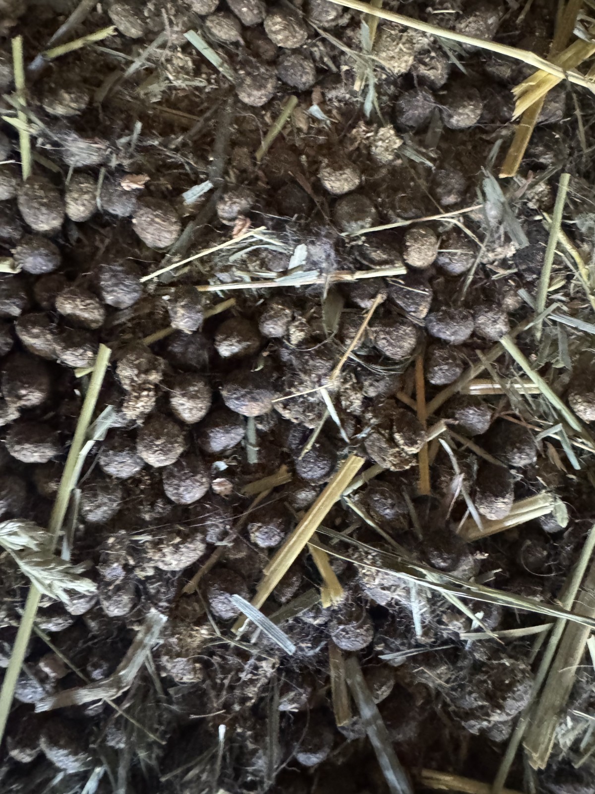 Organic Rabbit Manure/Compost- Various Sizes Available- Please Read Description!