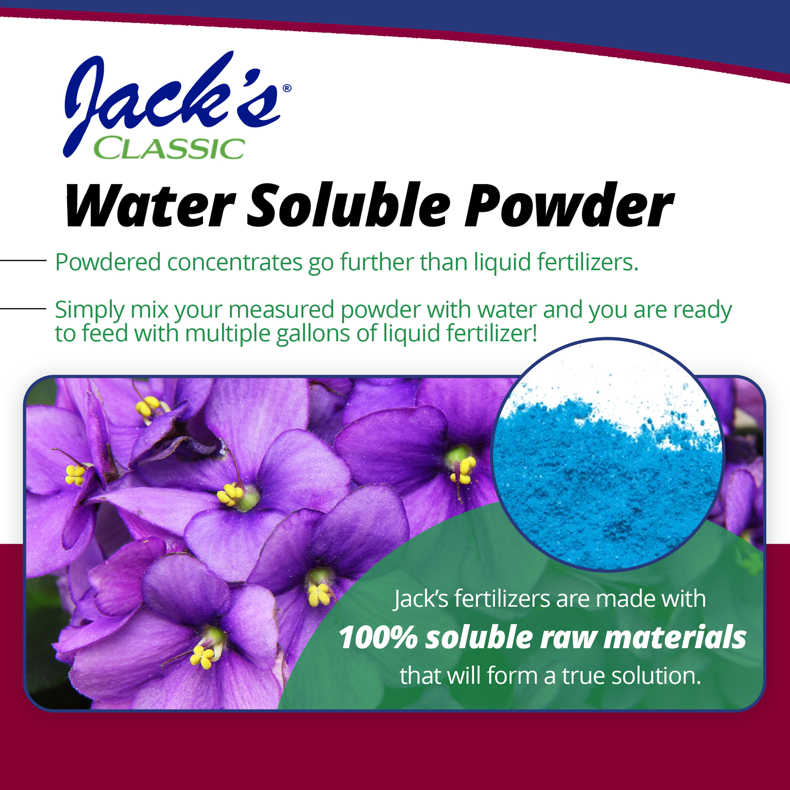 Jack’s Classic 12-36-14 African Violet Water Soluble Plant Food, 8 oz