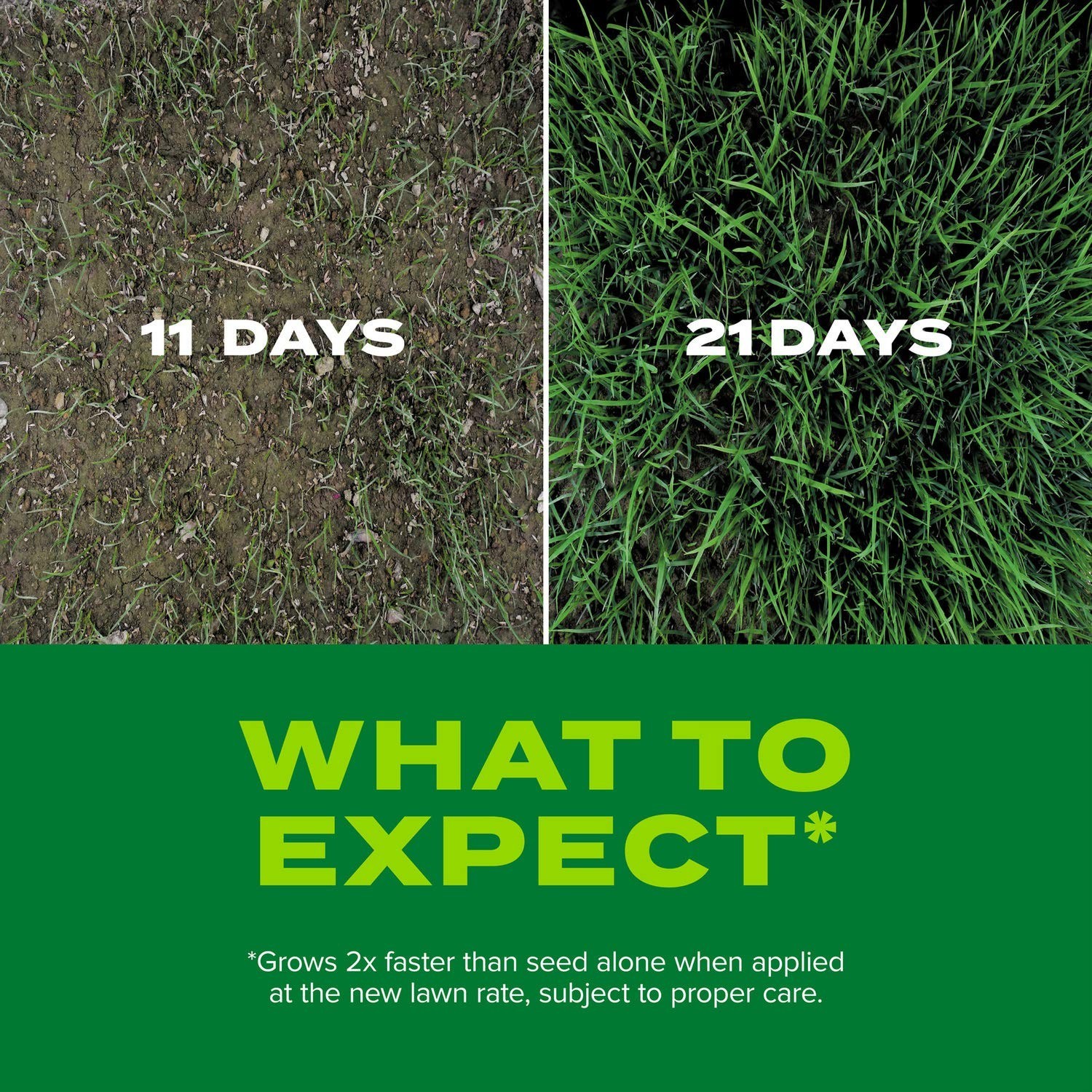 Rapid Grass Tall Fescue Mix – Fast-Growing Lawn Seed & Fertilizer, 5.6 lbs