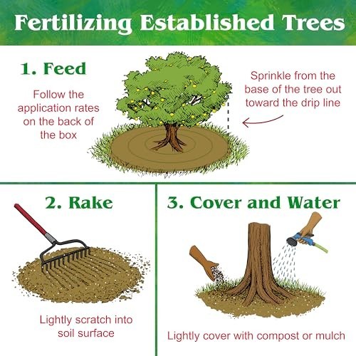 Organic Citrus Fertilizer 6-3-3 1 lb Granules for Lemons Limes Oranges Avocado