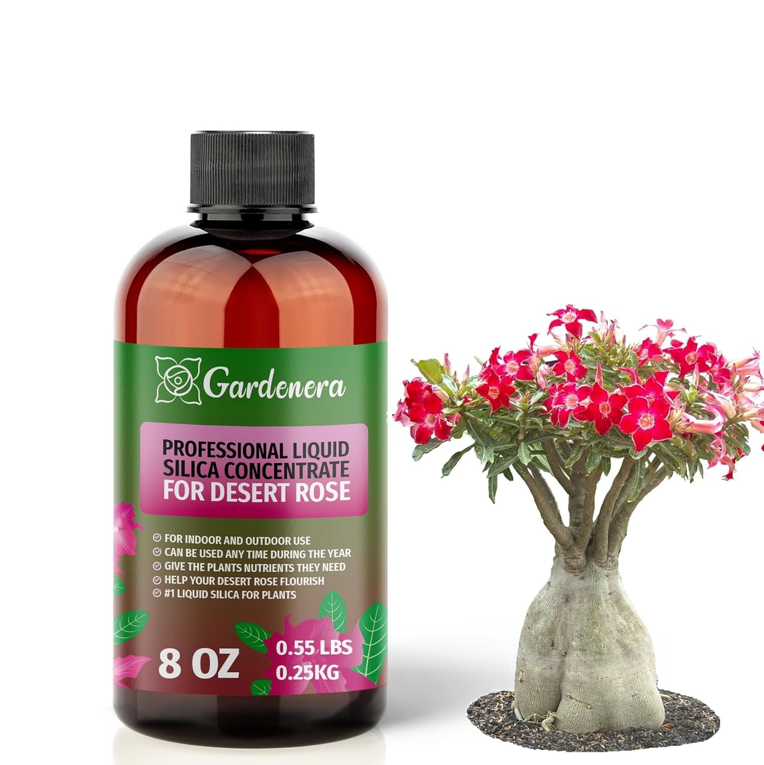 Liquid Silica Plant Supplement 8oz 250mL Desert Rose Plants Liquid Silica Boost
