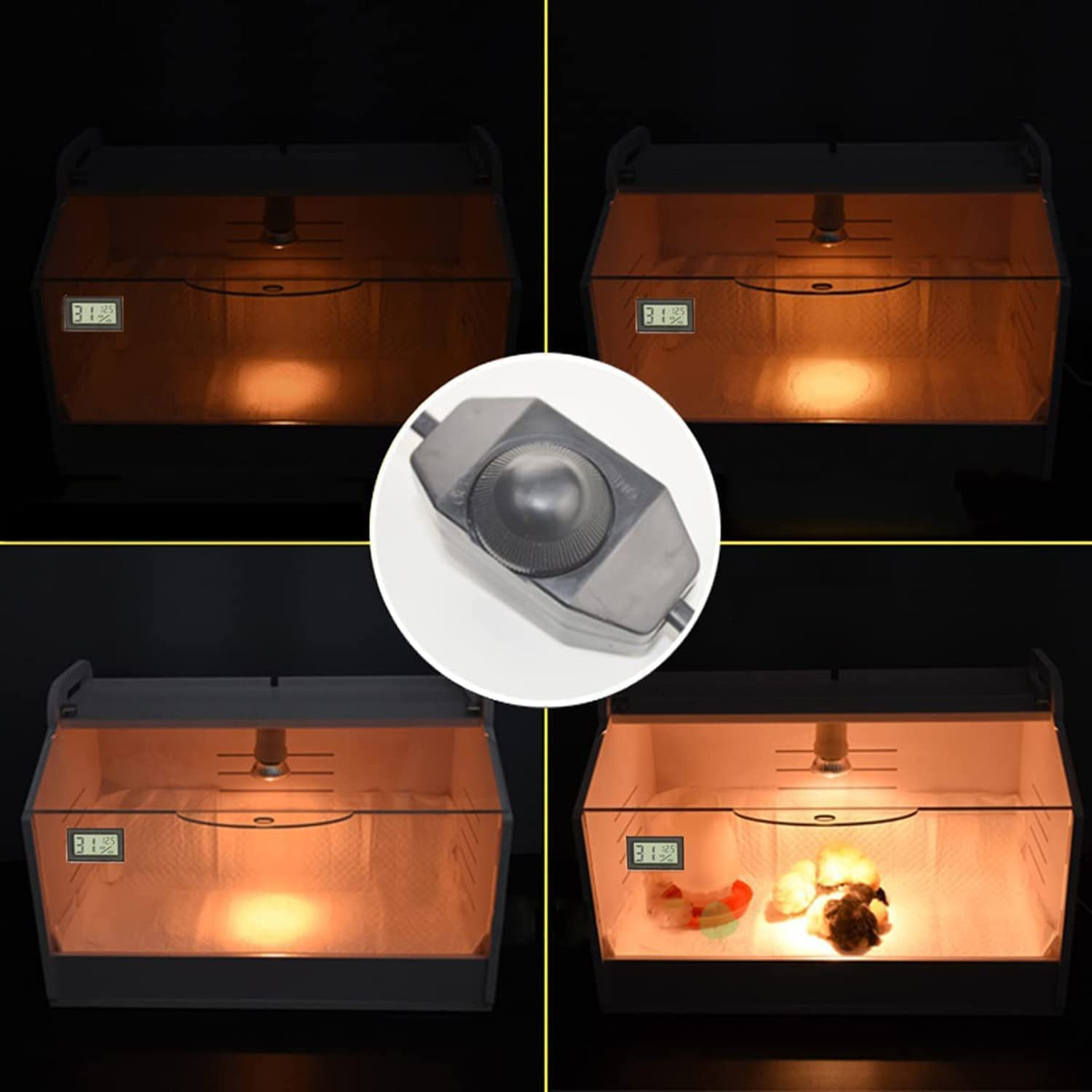 WIONBE Intelligent Brooder Box 10-15 Newborns Chicks Quail Birds Small Animals M