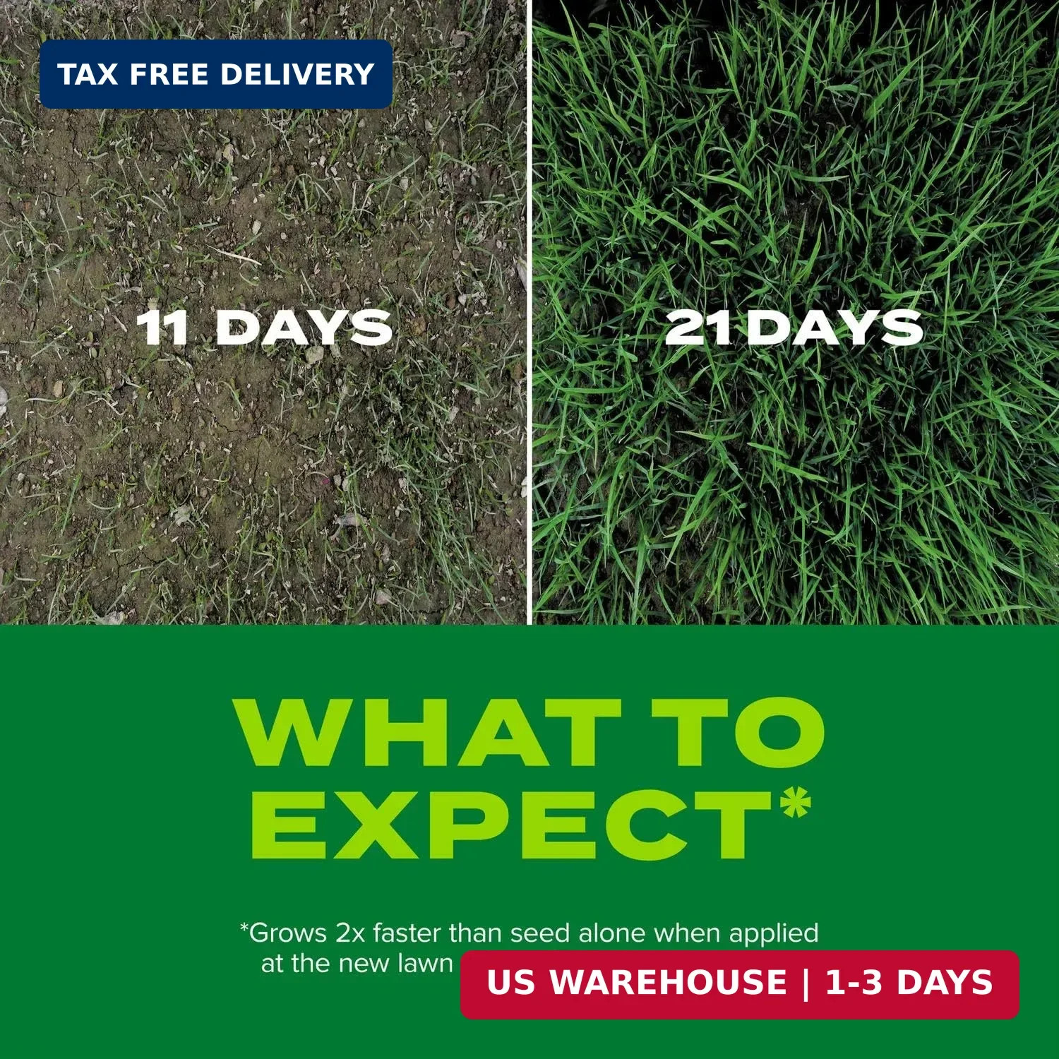 Turf Builder Rapid Grass Tall Fescue Mix – Combination Grass Seed and Fer