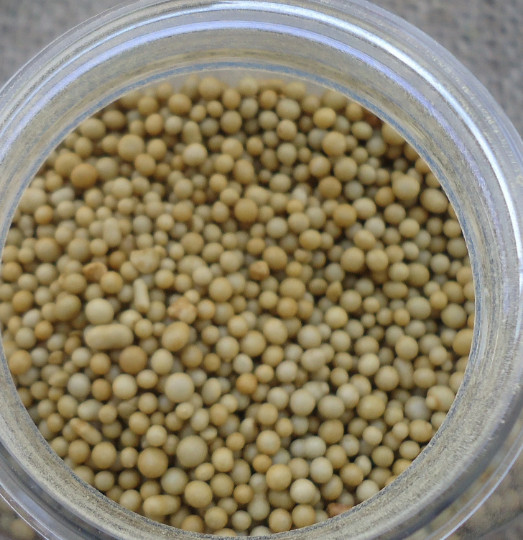 2oz. Slow release fertilizer for Succulents and Houseplants