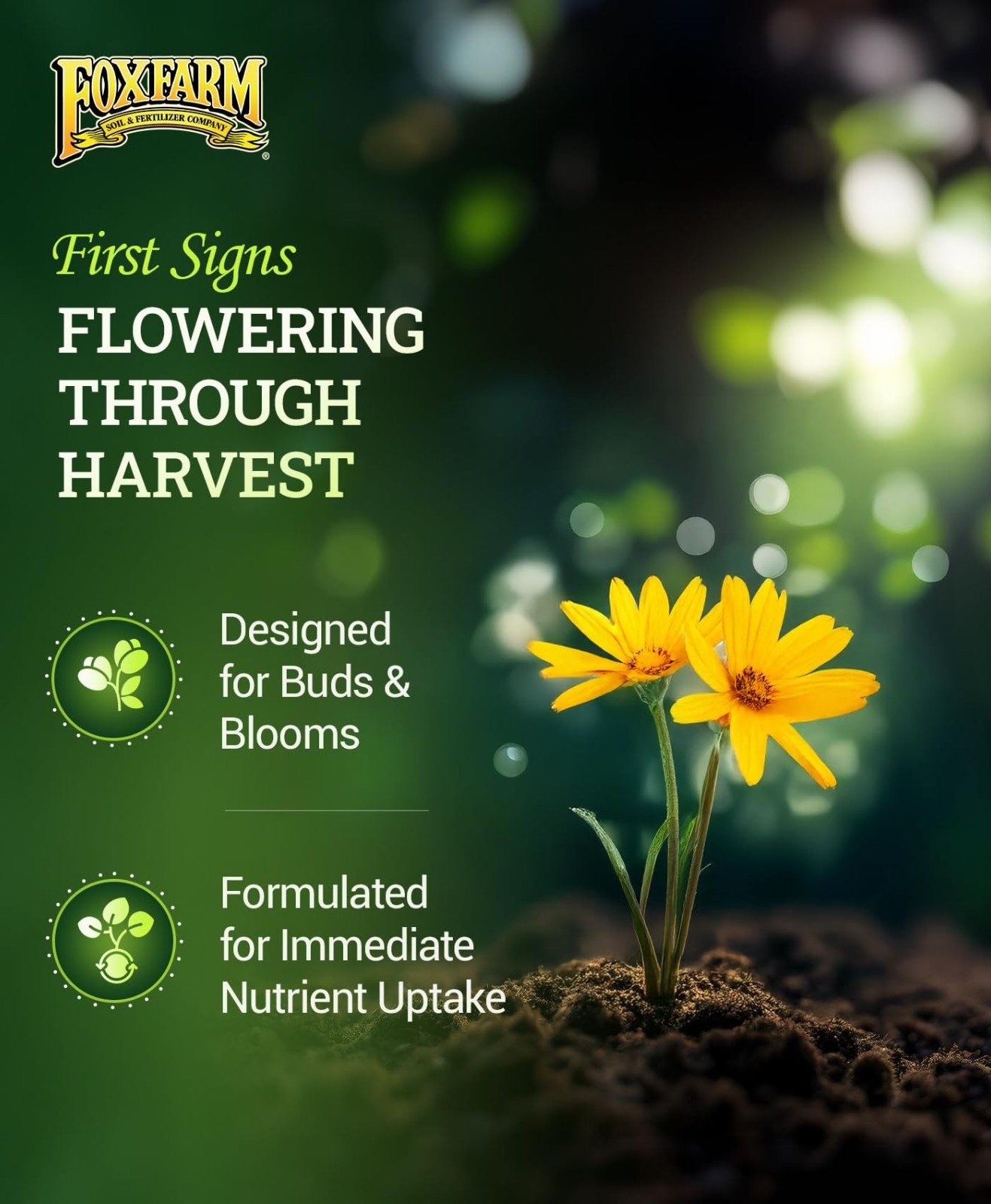 Liquid Plant Food – Phosphorus Fertilizer for Buds & Blooms – Hydroponic & Soil