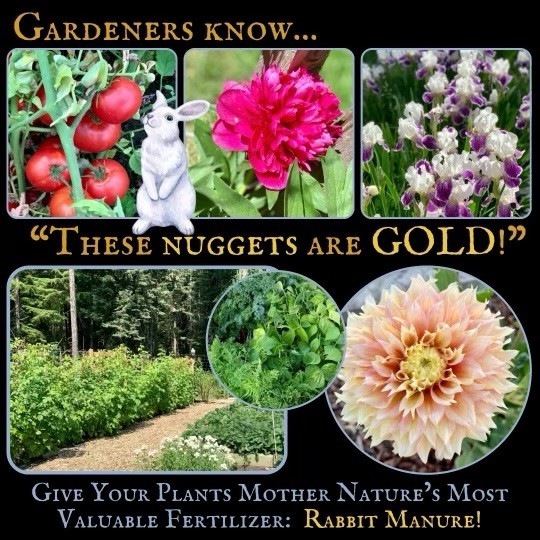 Dehydrated Rabbit Manure – All Natural Garden & Plant Fertilizer