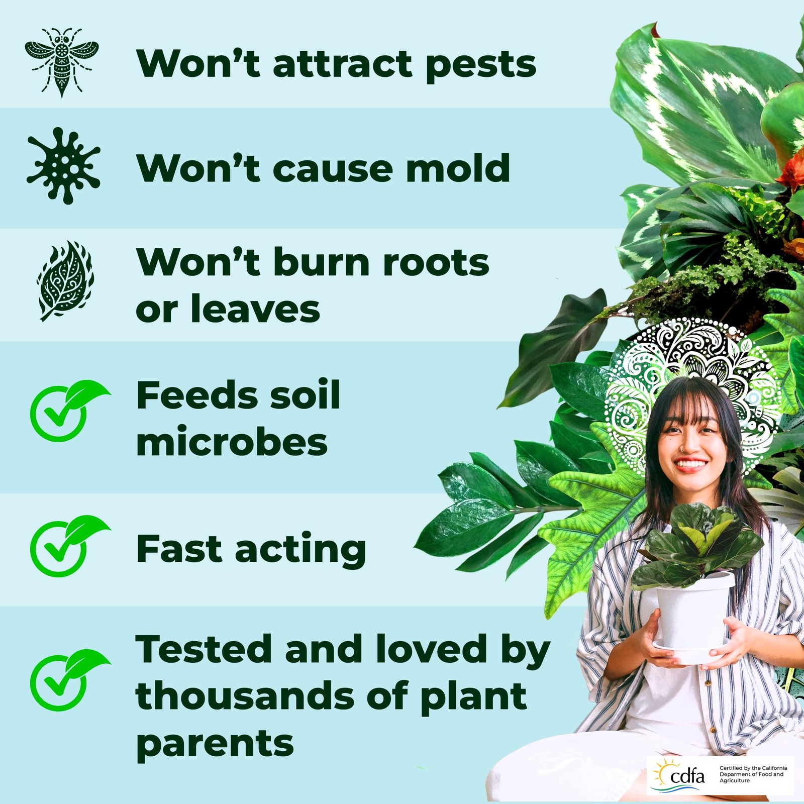 Big Green Leaves Indoor Plant Food – 4X Concentrated Houseplant Fertilizer wi…