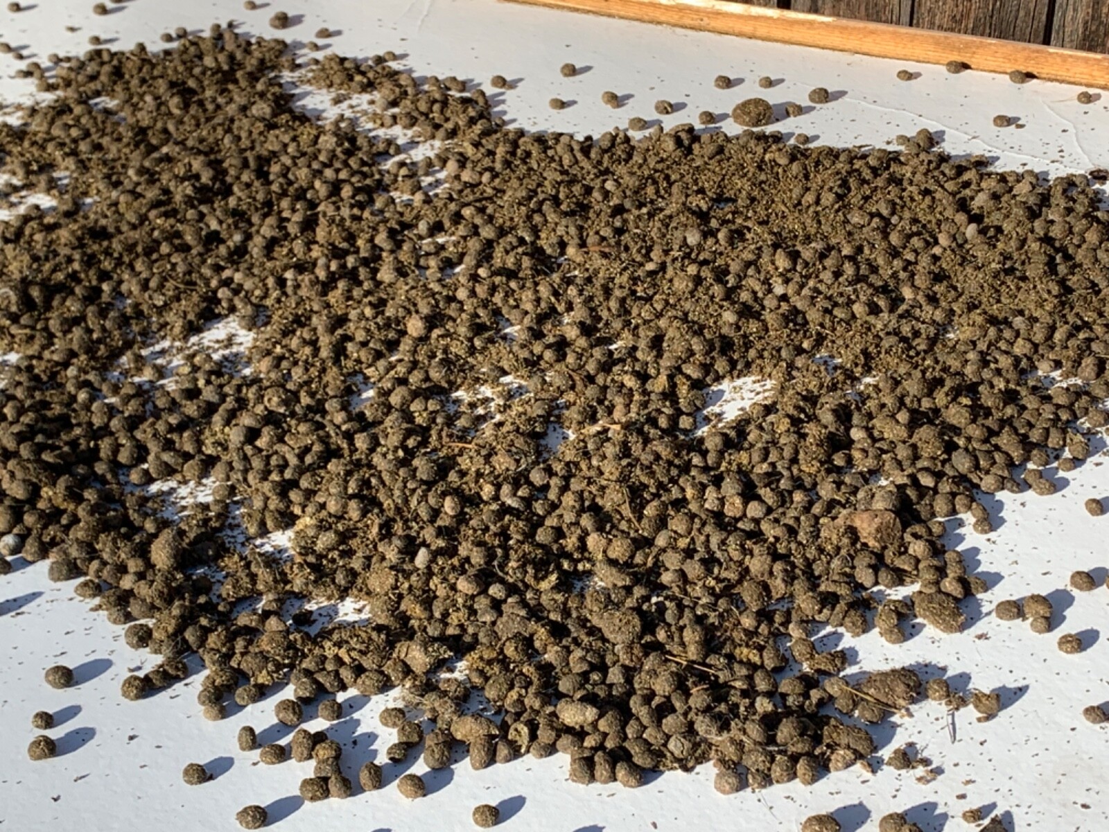 Organic Rabbit Manure Fertilizer – 3lbs. – Supports the Happy Rabbit Sanctuary