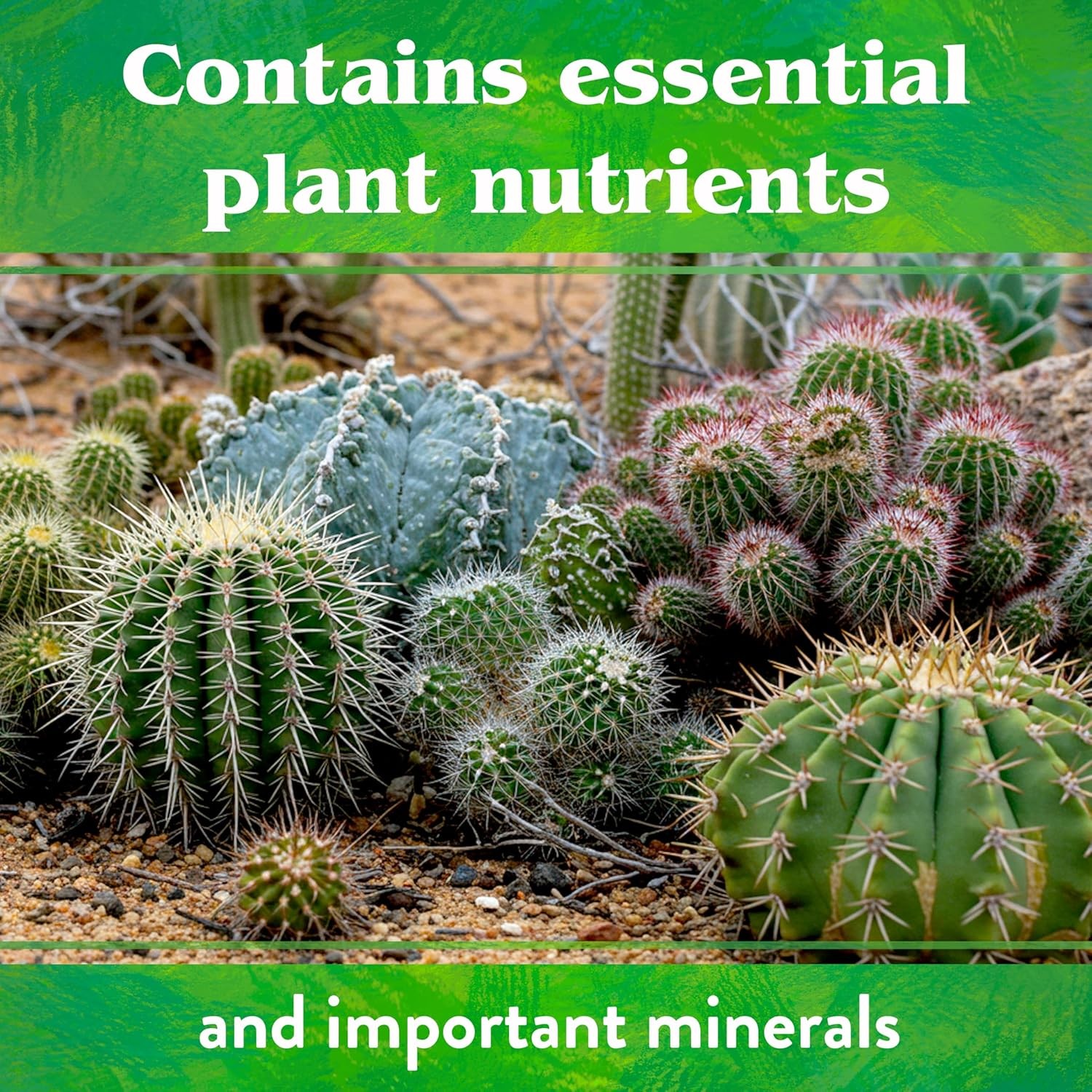 Organic Cactus & Succulent Mix Plant Food Cactuses Agaves Aloes Jades & Yuccas