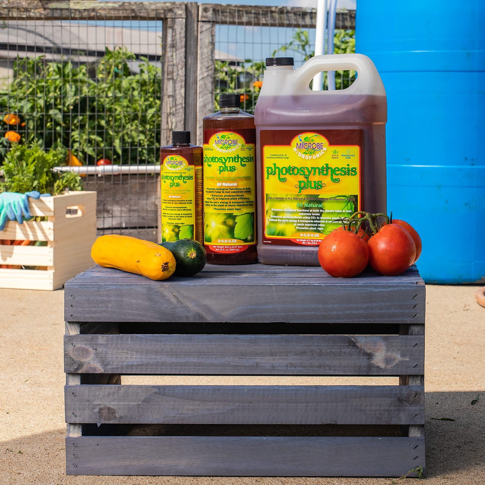 Premium Photosynthesis Plus to Grow Fruits, Vegetables, and Herbs, The Best P…