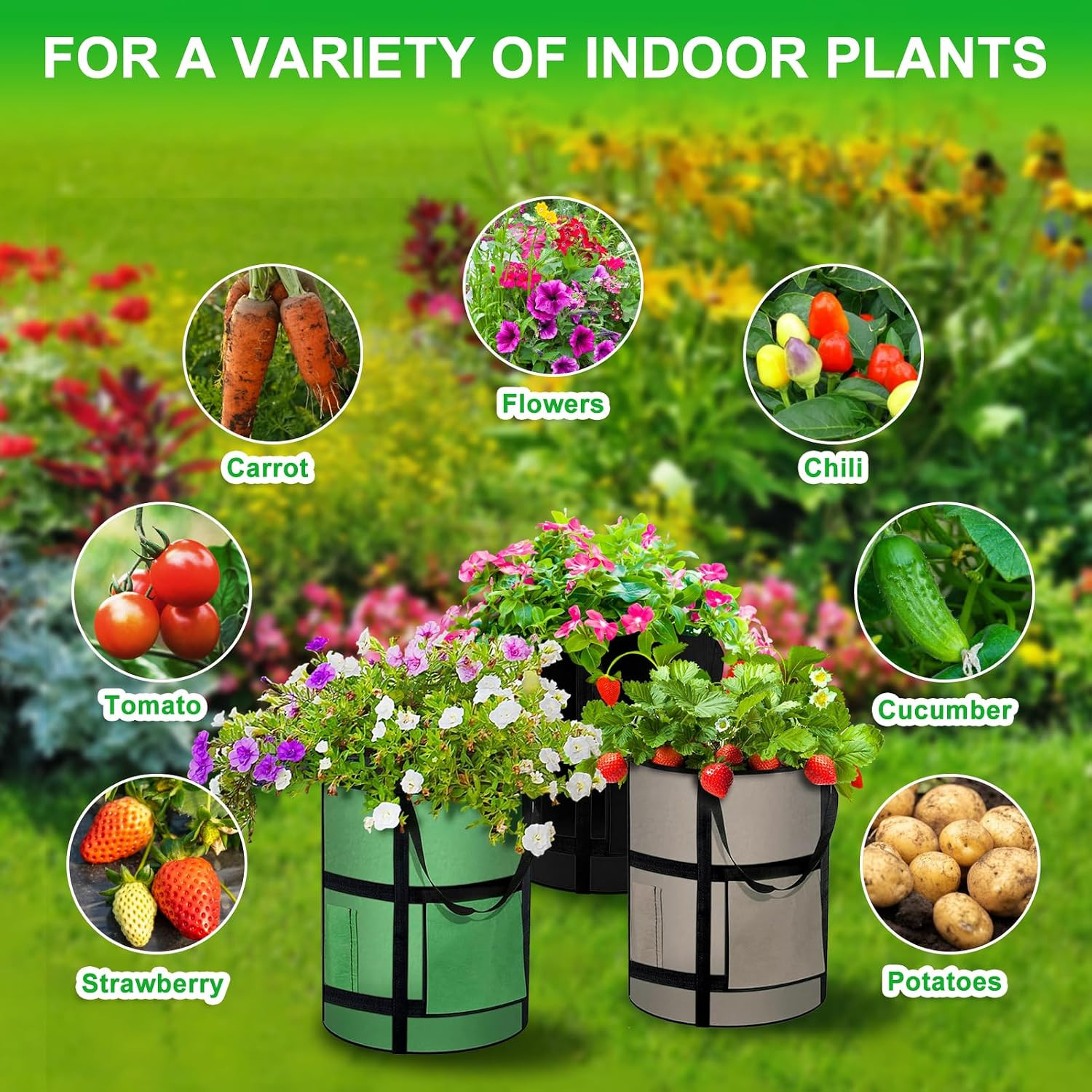 6 Pack 10 Gallon Potato Grow Bags with Window Heavy Duty Fabric Planters