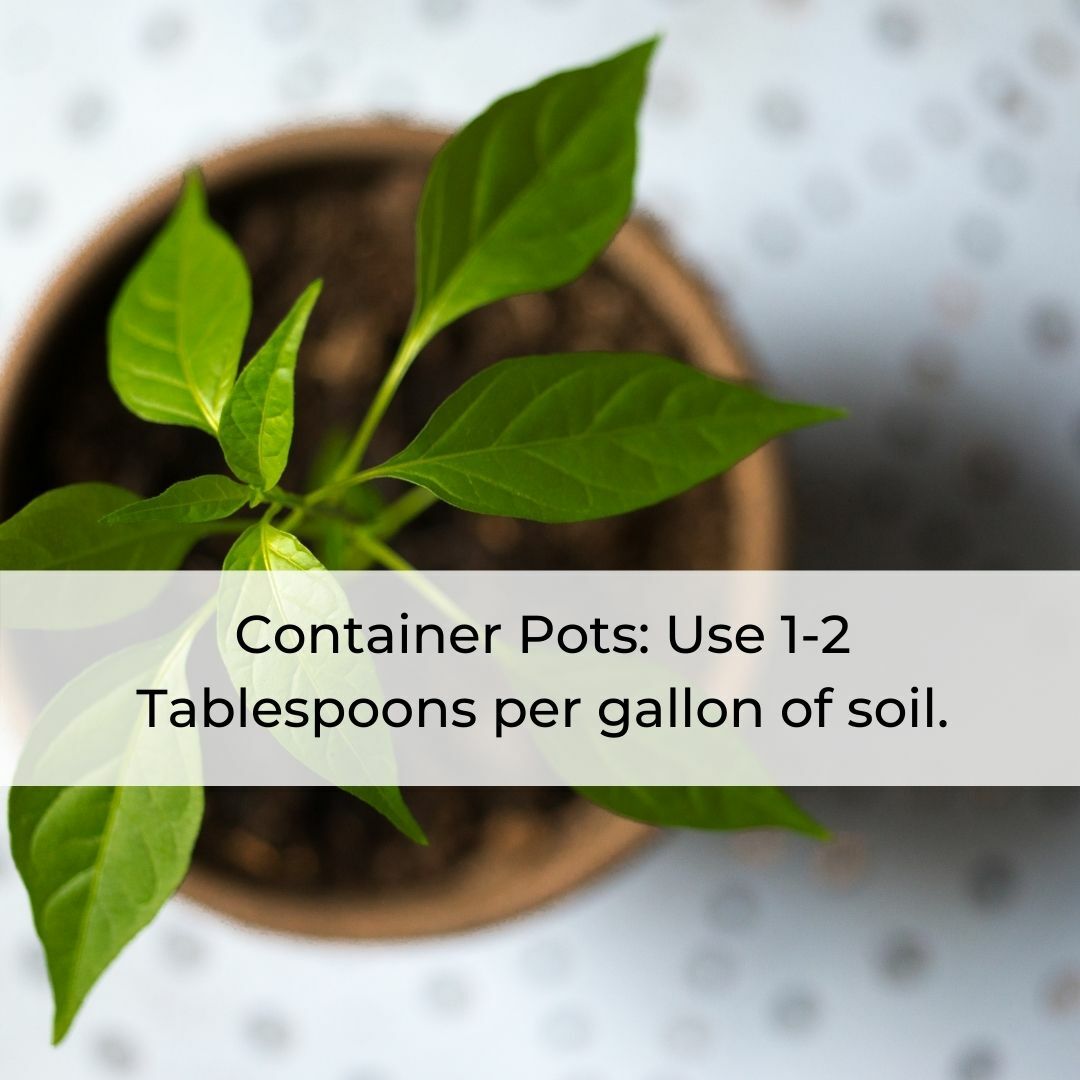 4 Ounce AZOMITE Fertilizer Powder – Volcanic Rock Dust – 67 Trace Minerals