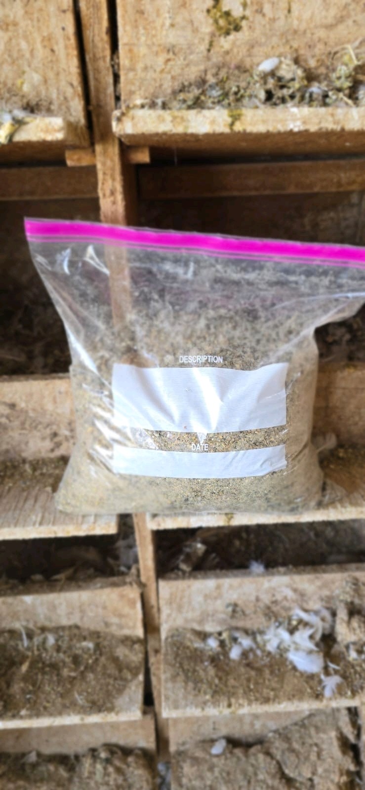 Pigeon Poop. (ORIGINAL) Bird Guano Fertilizer 100% Organic No Gluten No Fat 1 LB