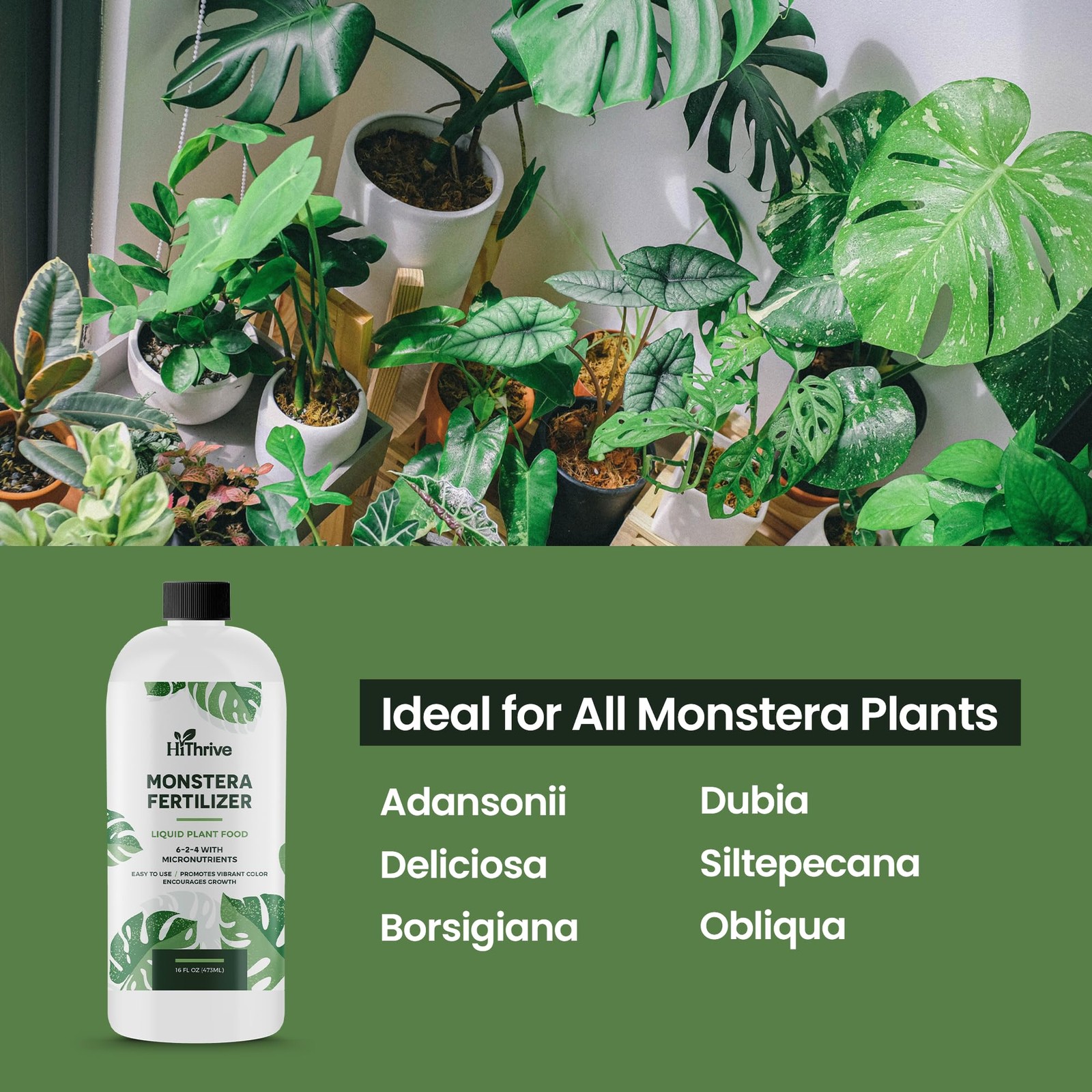 16oz Monstera Plant Food – Makes 96 Gallons of 16 oz (1 Pint)
