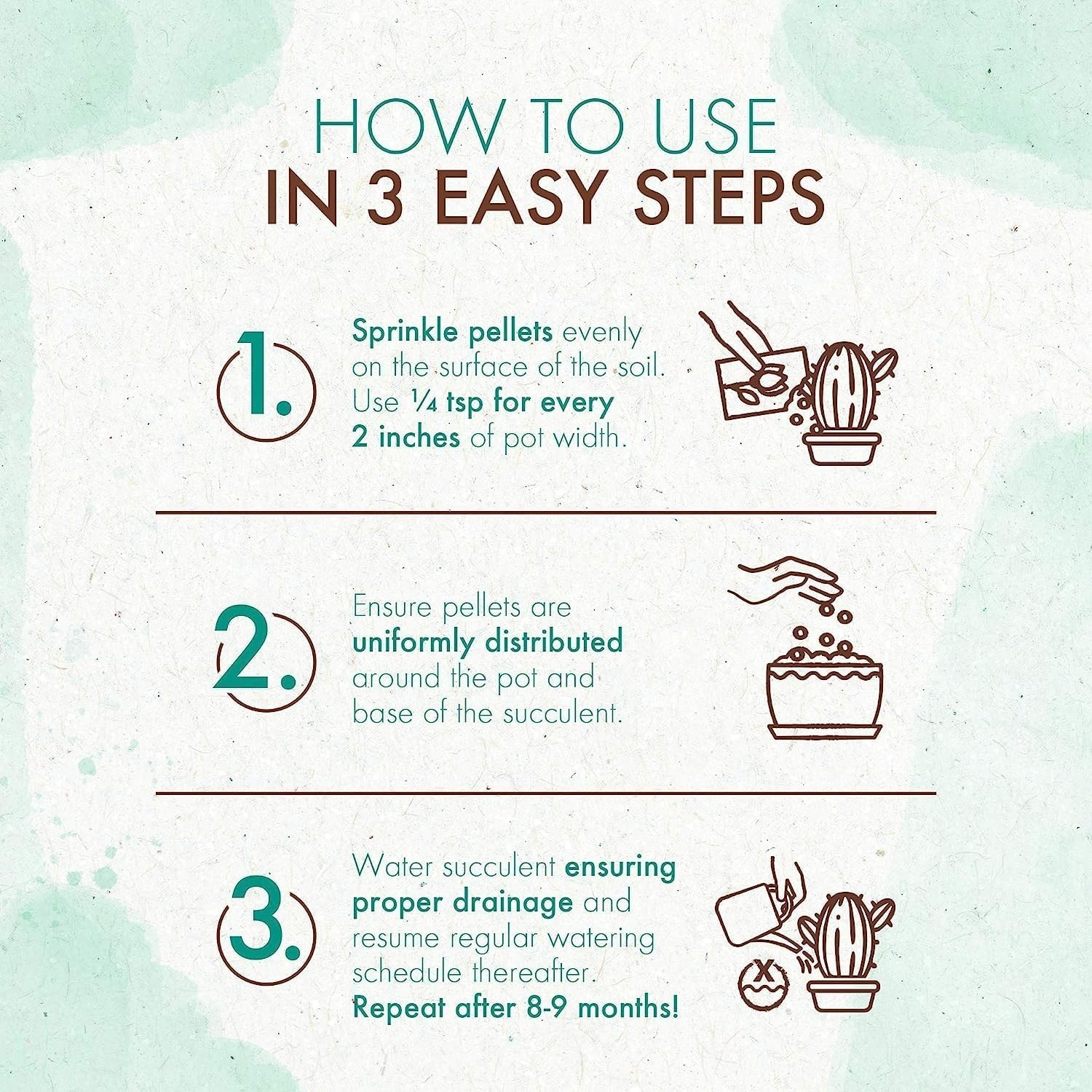 Long-Lasting Succulent & Cactus Plant Food