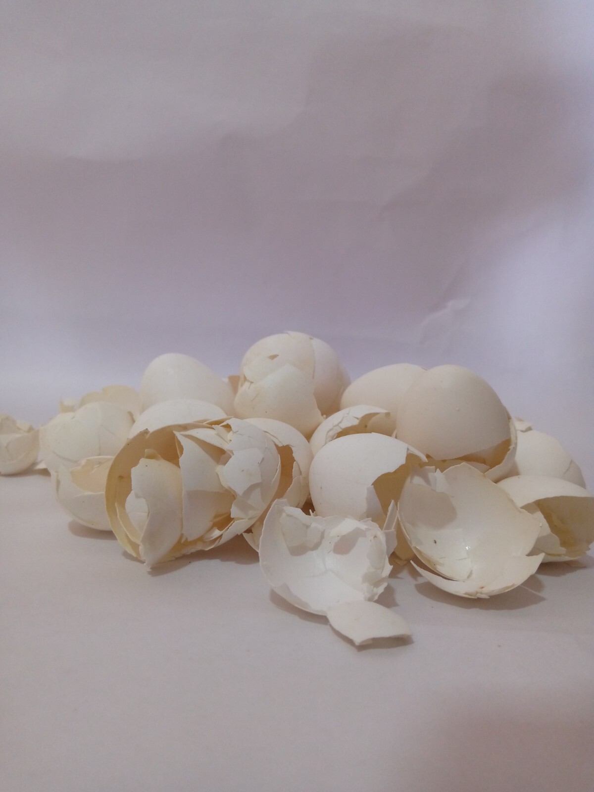 Eggs Shells garden slugs Organic calcium fertilizer for plants-200g Egg Shells
