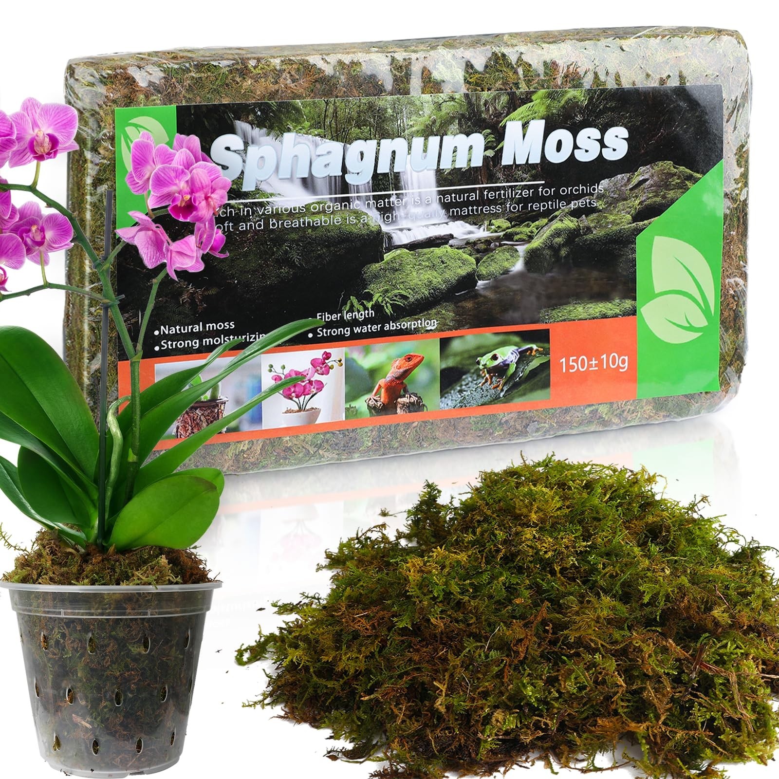 Doter Dried Forest Moss for Plants (15 qt / 3 pcs), Sphagnum Potting Moss for…