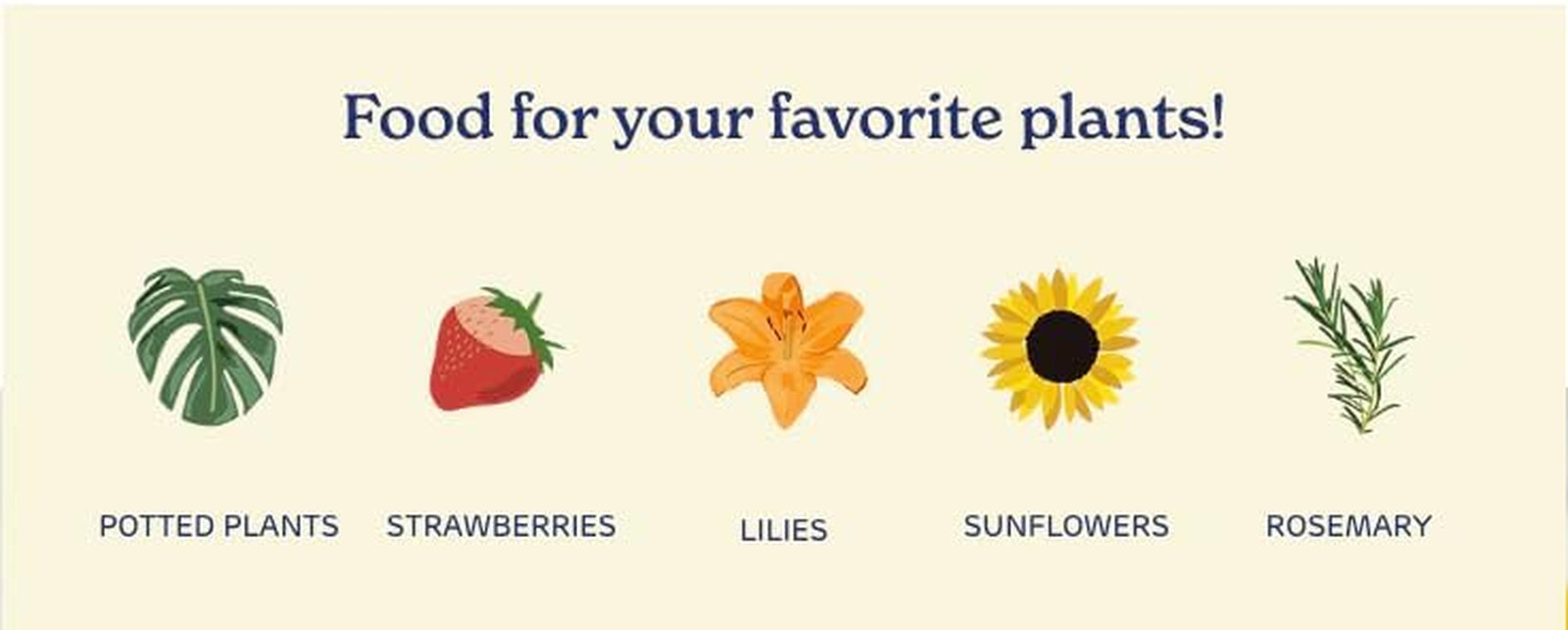 Liquid All Purpose Plant Food – Organic Fertilizer for Fruits, Flowers, Vegetabl