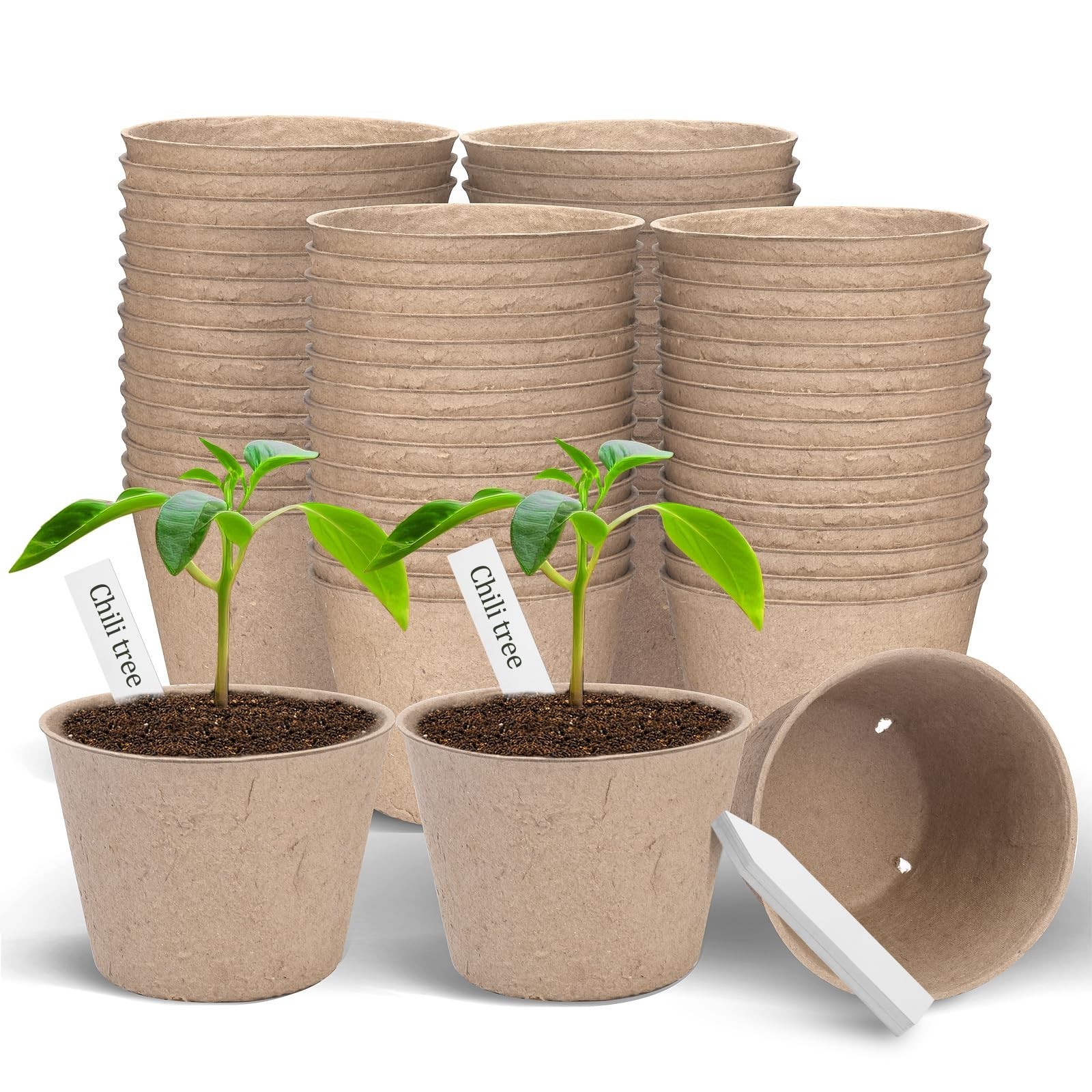 Peat Pots, 60 Pack Plant Starter Round Nursery Pot with Drainage Holes, Garde…