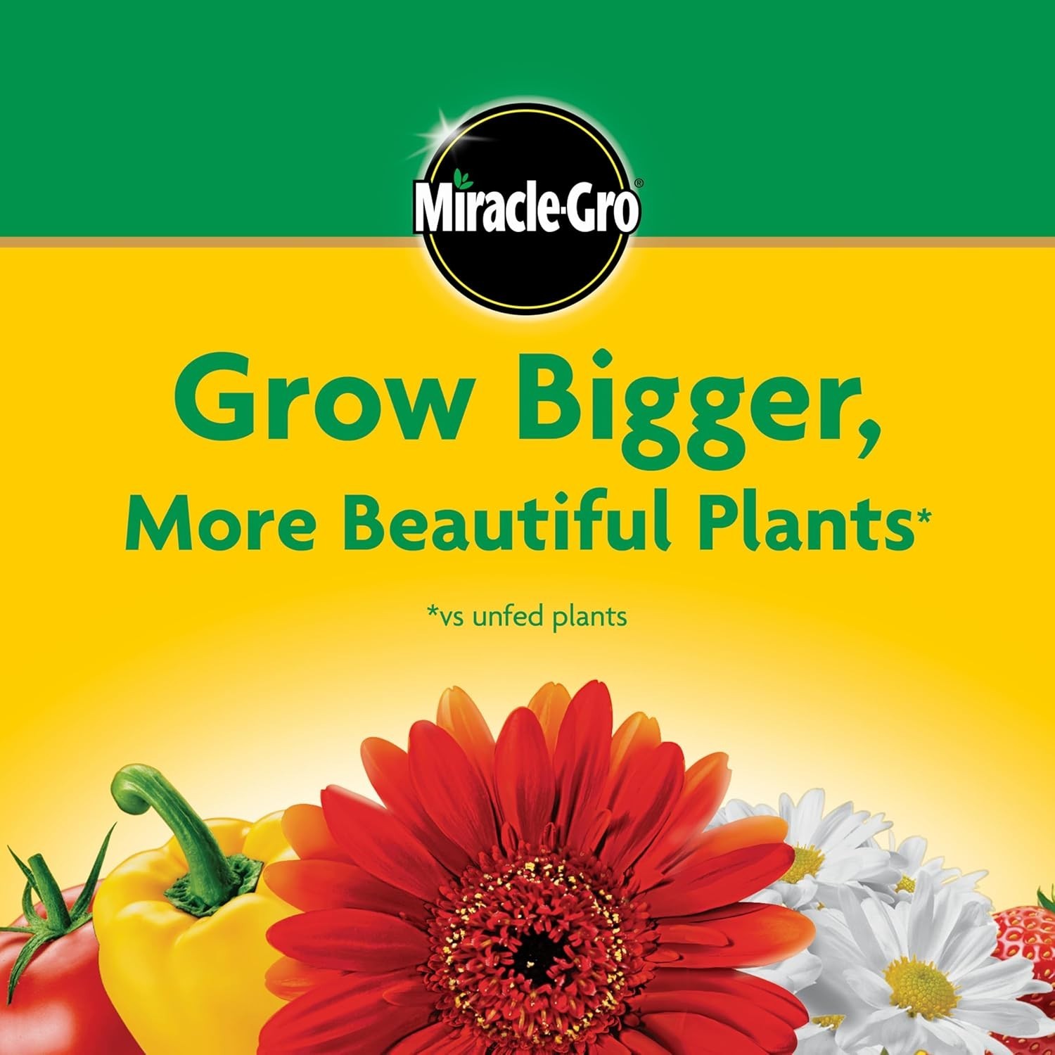 Miracle-Gro Water Soluble All Purpose Plant Food Fertilizer for Indoor or Out…