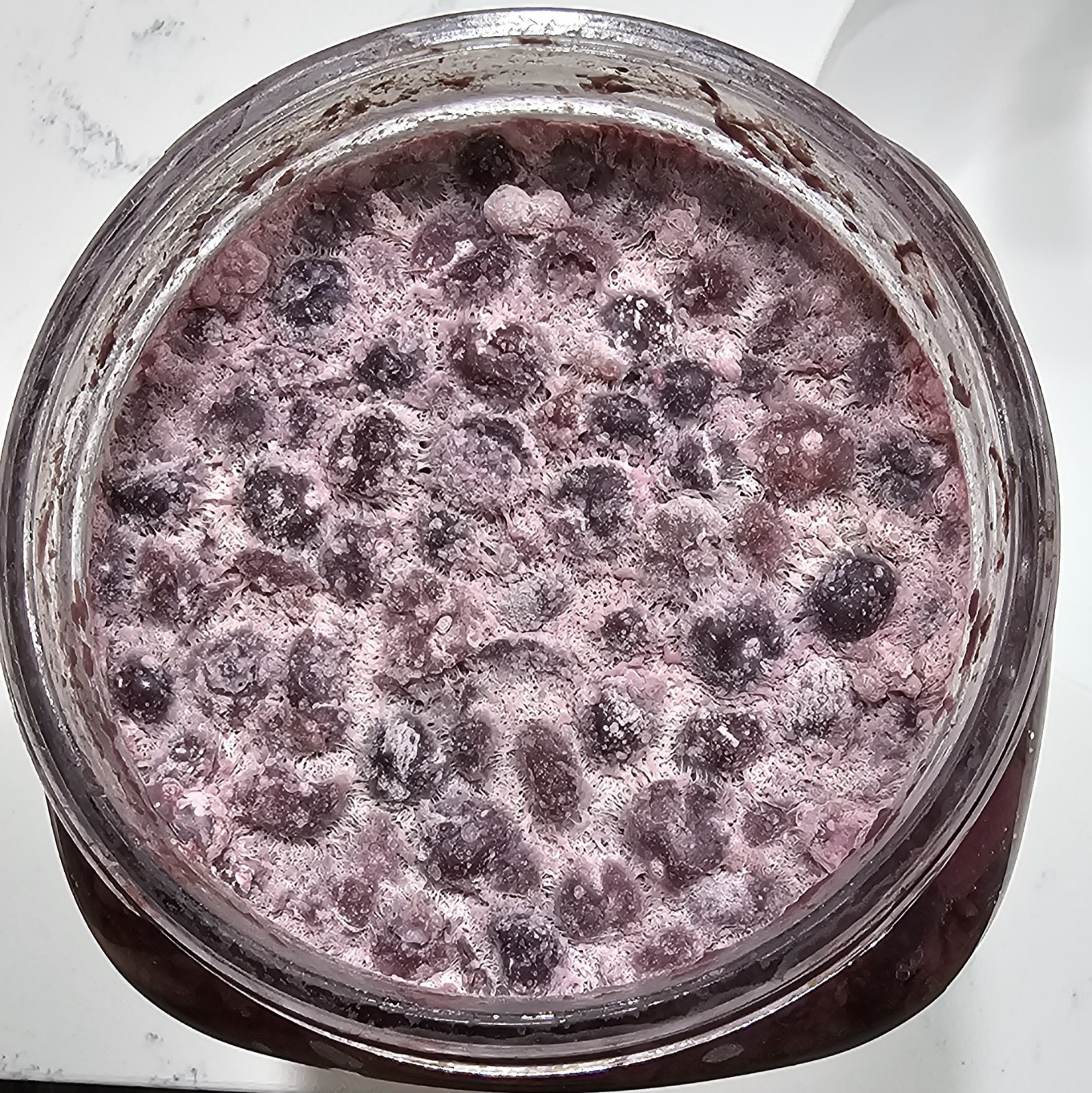 Live Blueberry Vinegar with the “Mother” as Fertilizer & Food Additive 1 L/34 oz