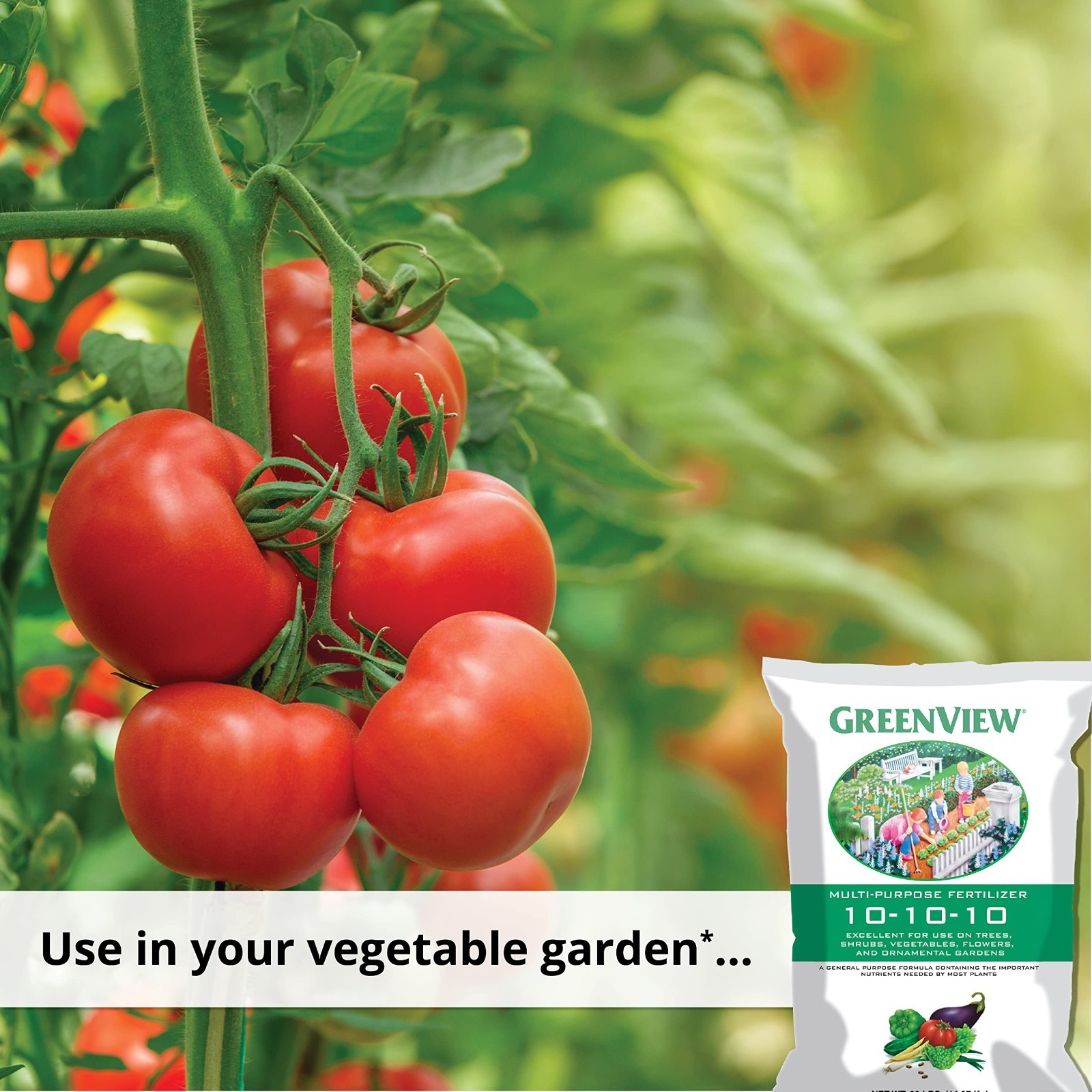 Multi-Purpose Fertilizer NPK 10-10-10, 33 lb – Plant Food for Vegetables, Flower