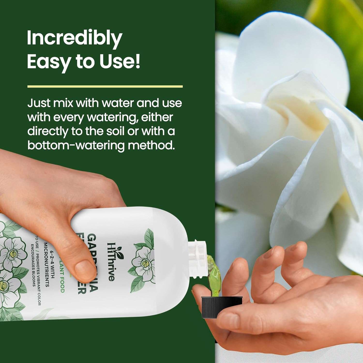 16Oz Gardenia Fertilizer – Makes 96 Gallons of Indoor Plant Food for Gardenia Pl